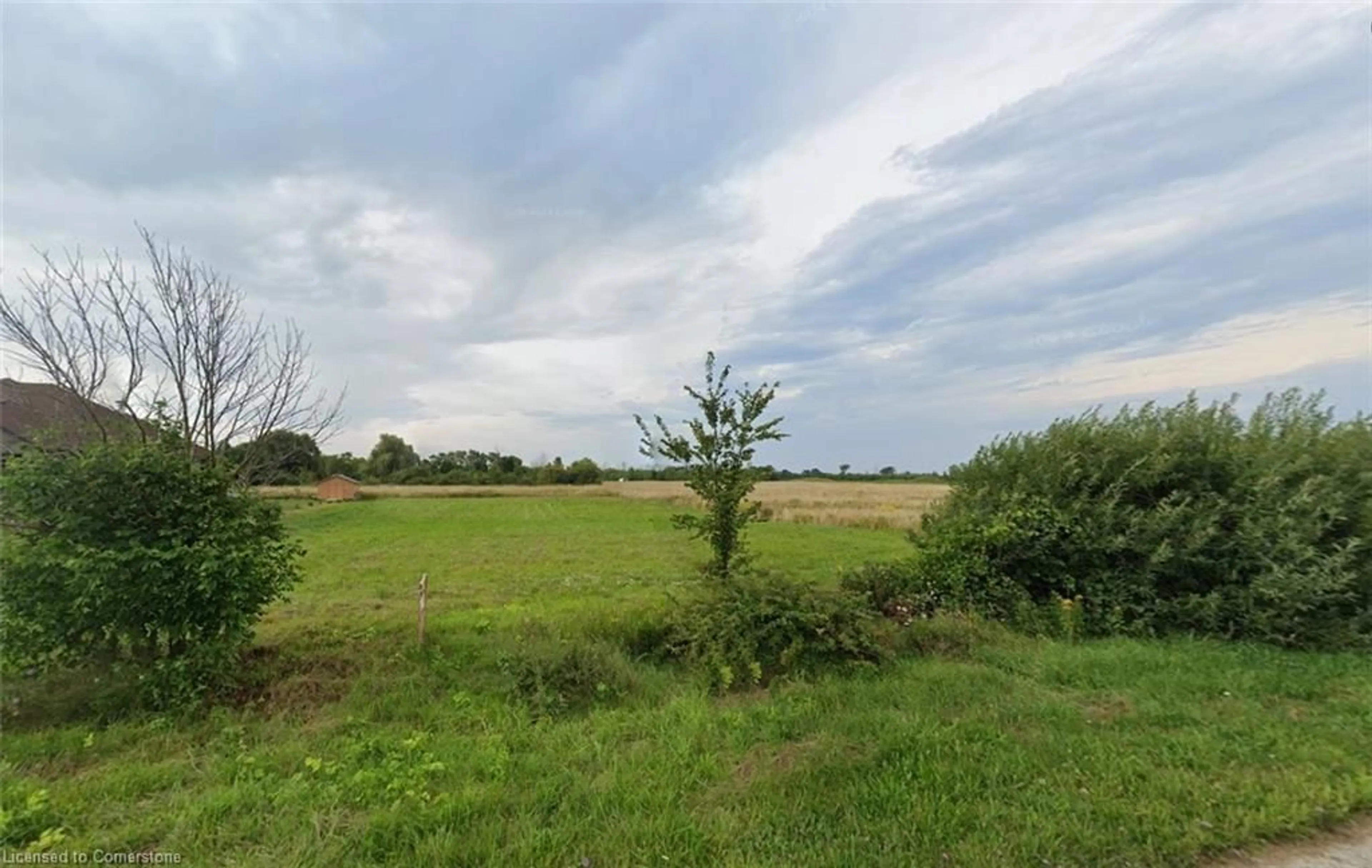 A pic from outside/outdoor area/front of a property/back of a property/a pic from drone, forest/trees view for 40 Russell St, Port Albert Ontario N7A 3X9