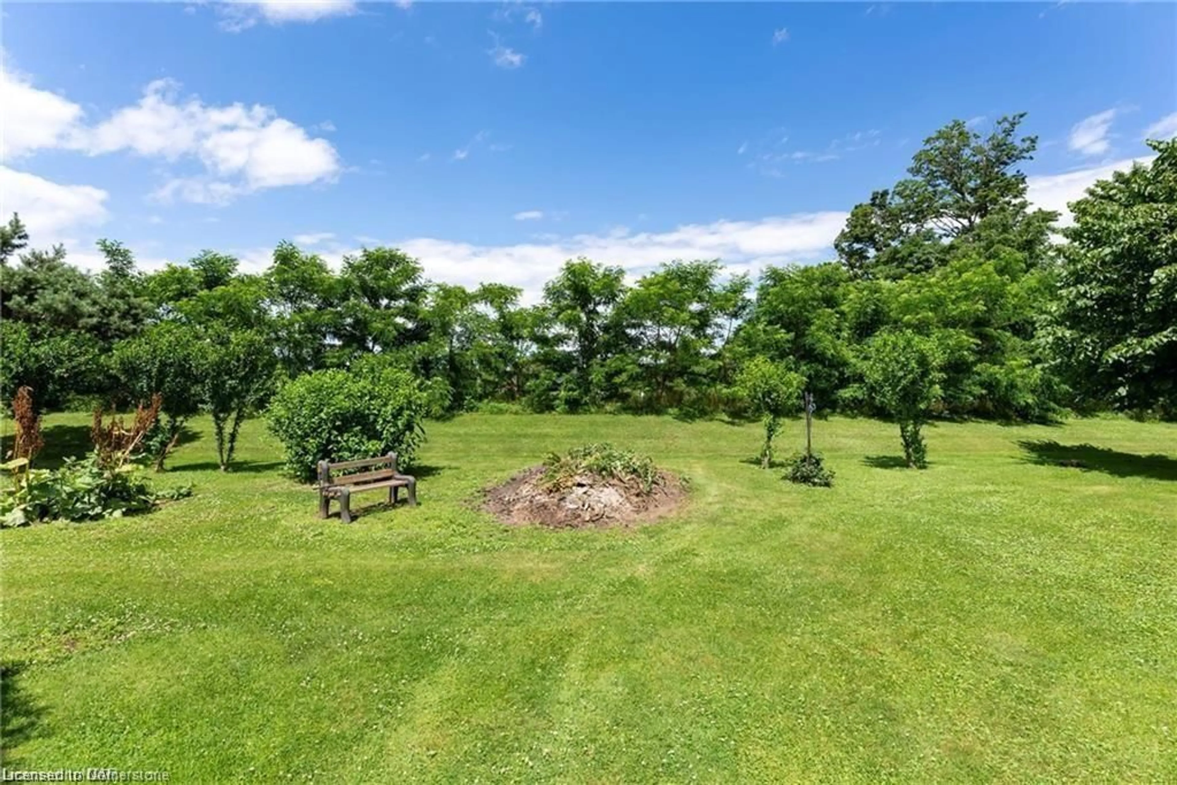 A pic from outside/outdoor area/front of a property/back of a property/a pic from drone, forest/trees view for 5400 North Service Rd, Beamsville Ontario L0R 1B3