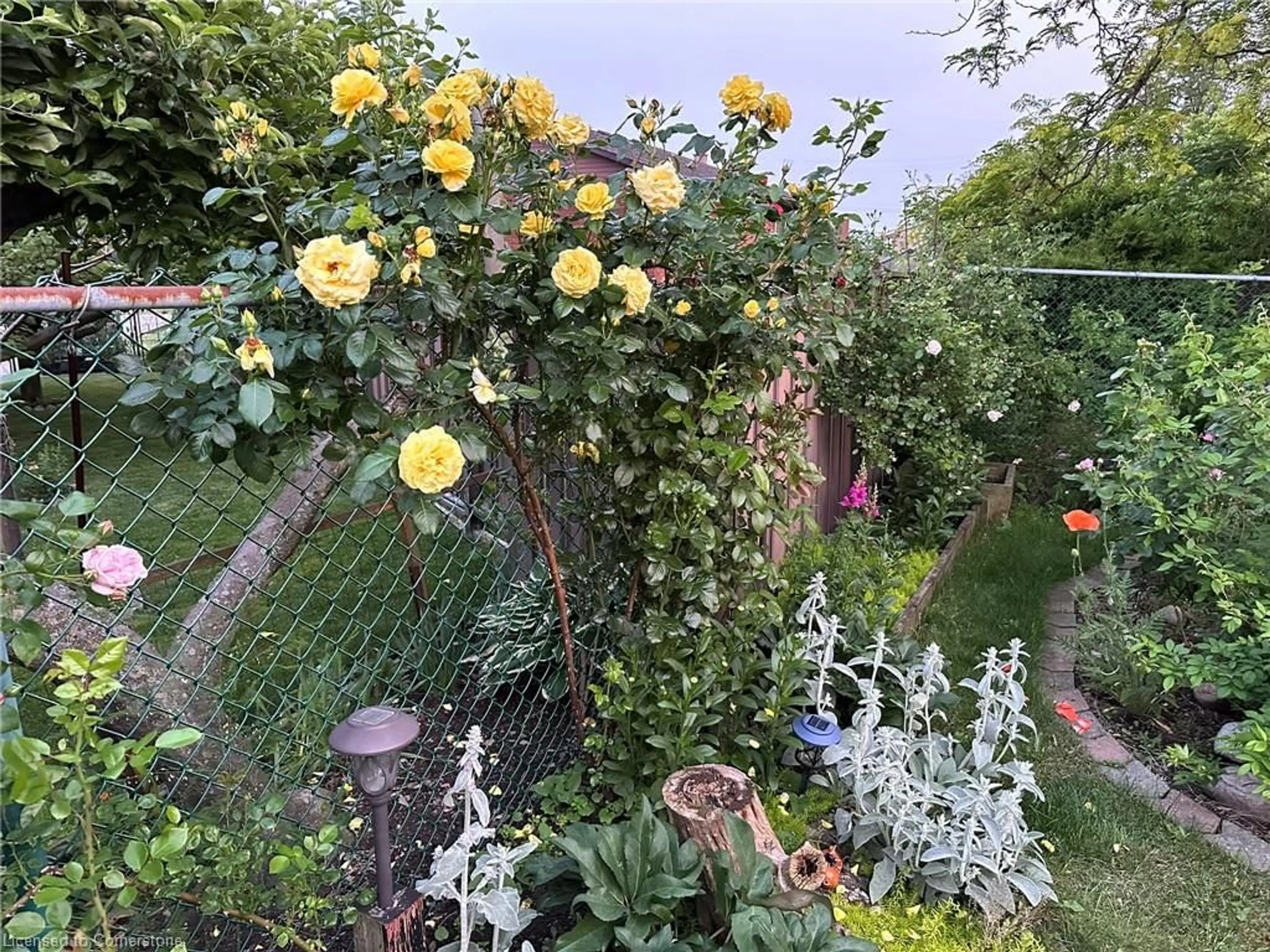A pic from outside/outdoor area/front of a property/back of a property/a pic from drone, unknown for 19 Normajean Ave, Hamilton Ontario L8W 1S3