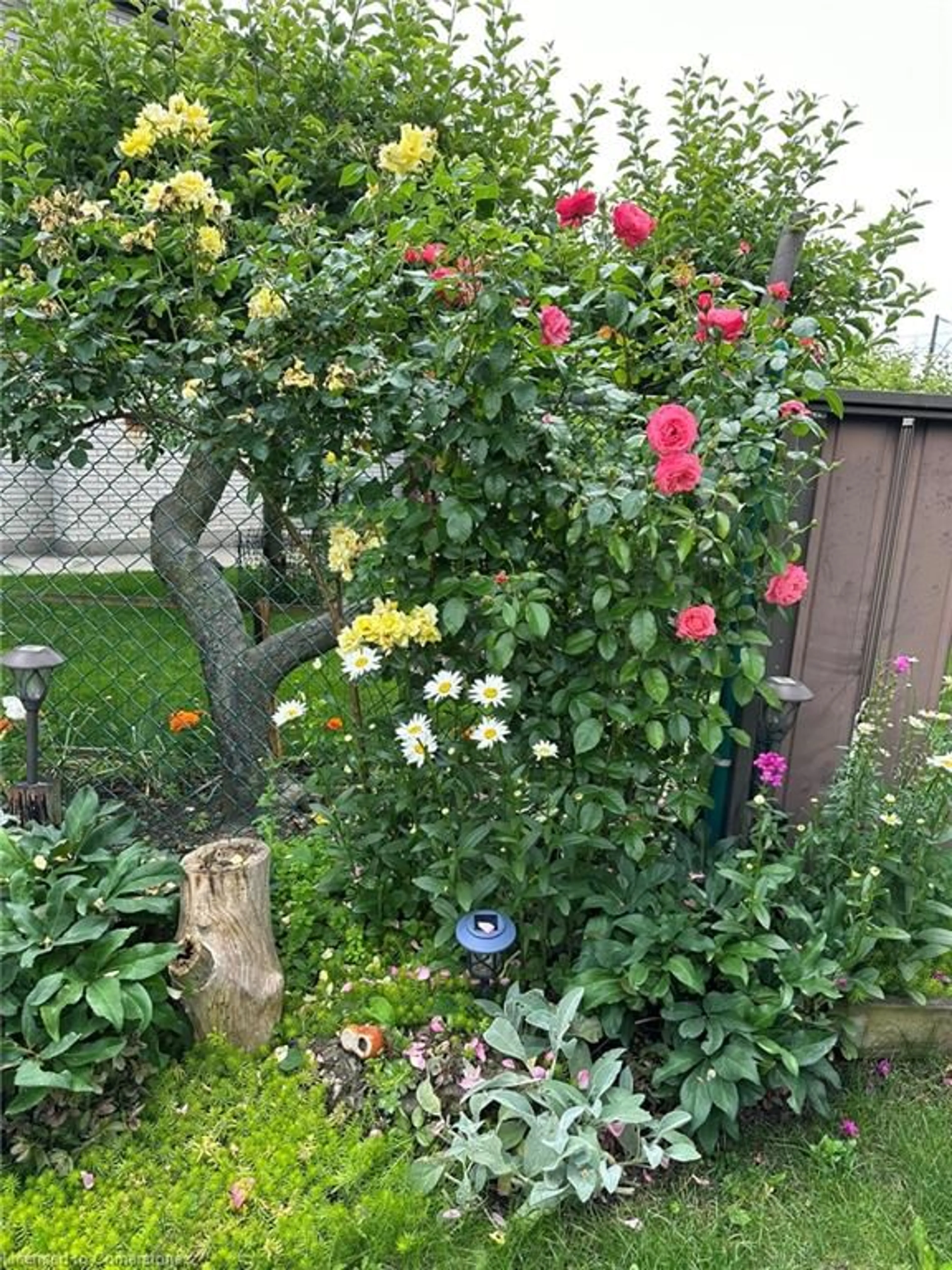 Patio, street for 19 Normajean Ave, Hamilton Ontario L8W 1S3