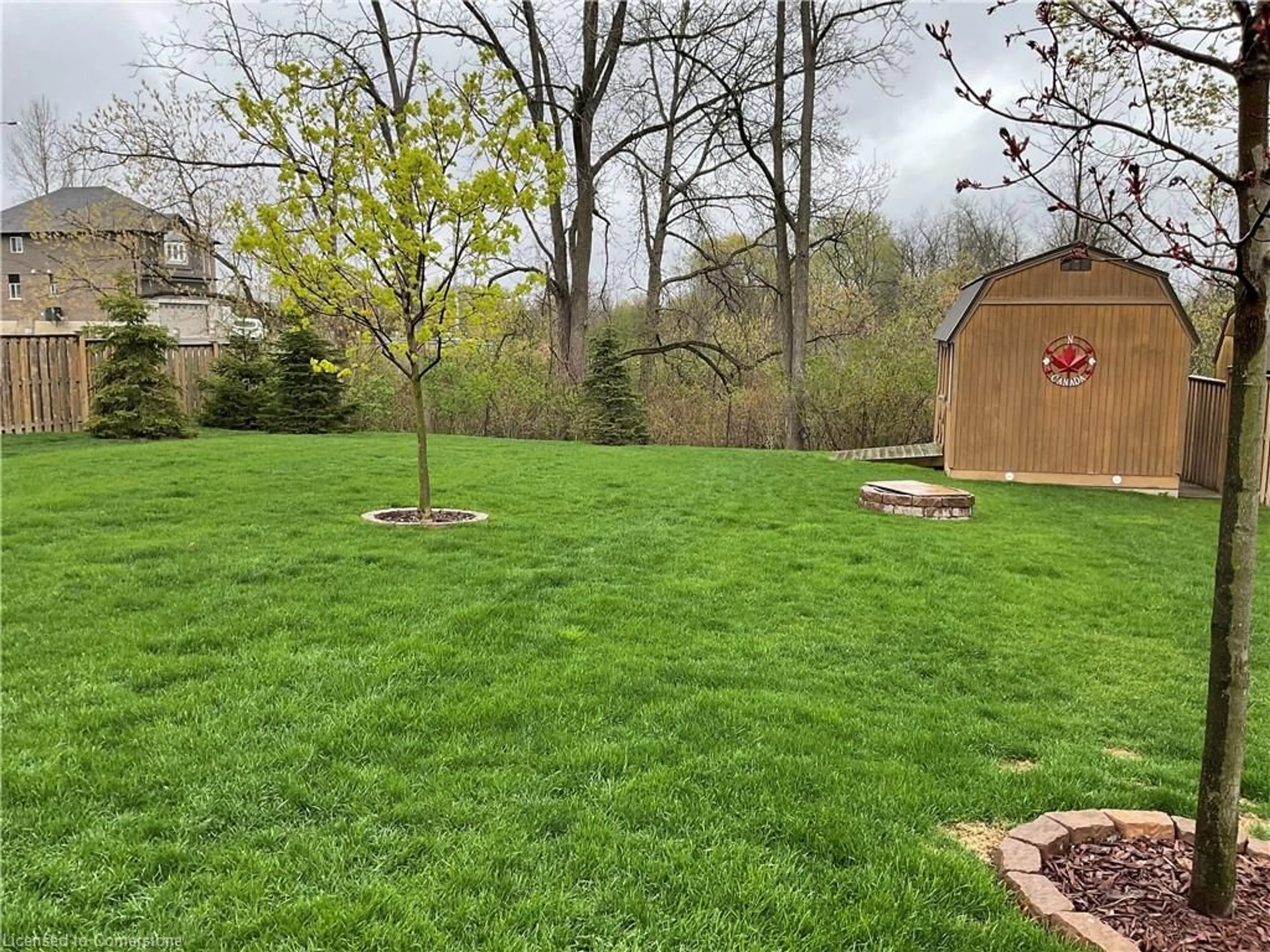 A pic from outside/outdoor area/front of a property/back of a property/a pic from drone, forest/trees view for 70 Winnett St, Cayuga Ontario N0A 1E0