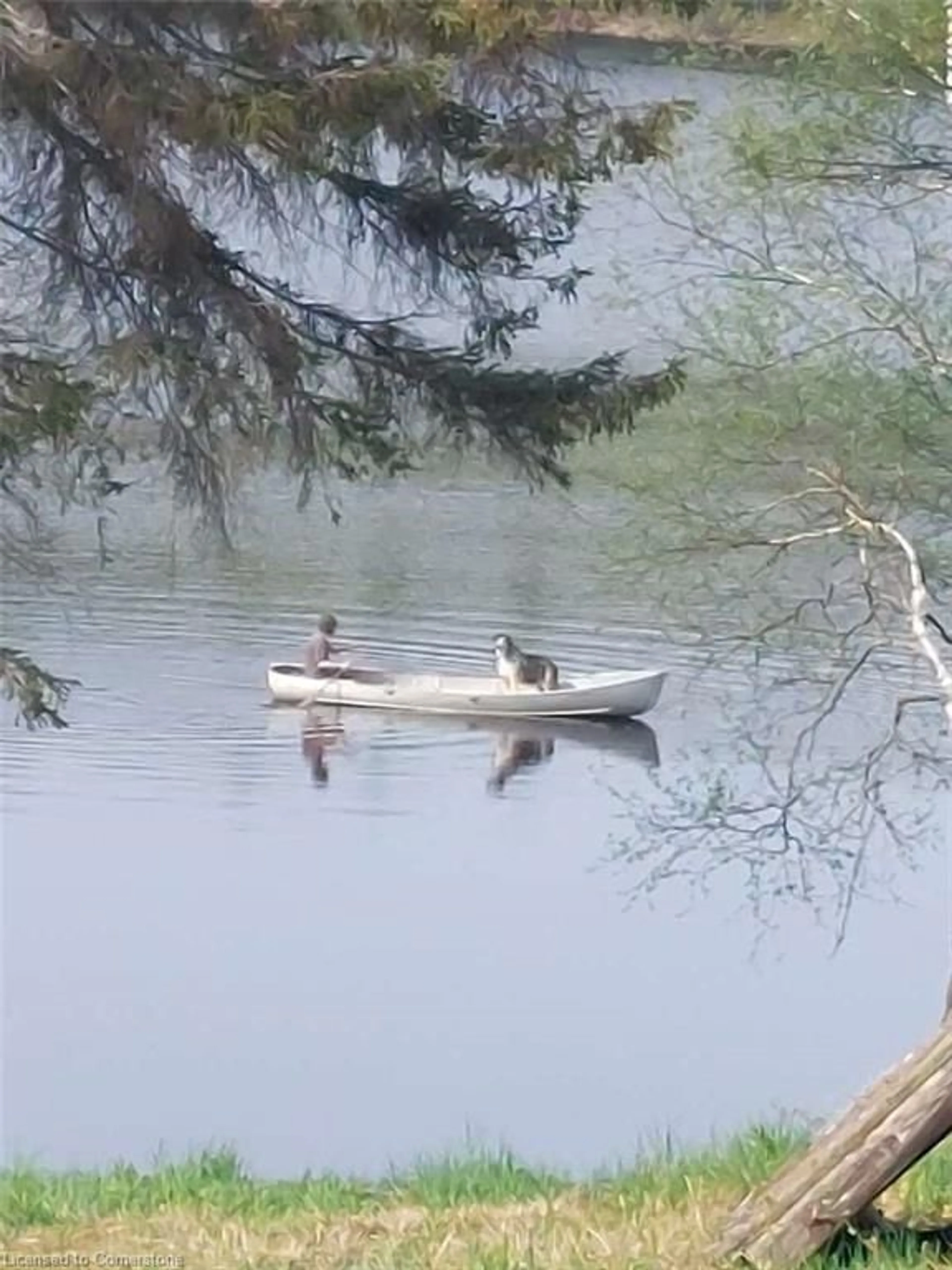 Blurry image for LOT 11 Catfish Lake Rd, Wawa Ontario P0S 1K0
