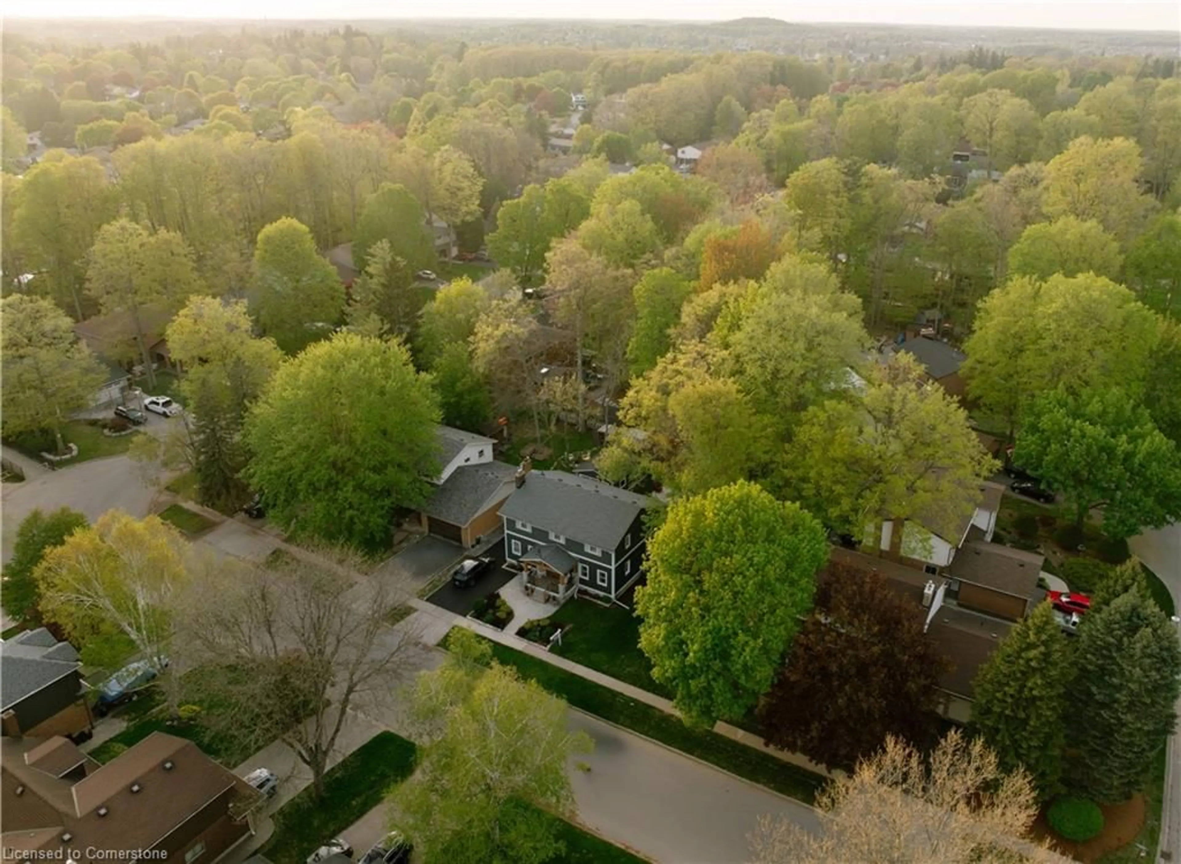 A pic from outside/outdoor area/front of a property/back of a property/a pic from drone, forest/trees view for 333 Kribs St, Cambridge Ontario N3C 3J1
