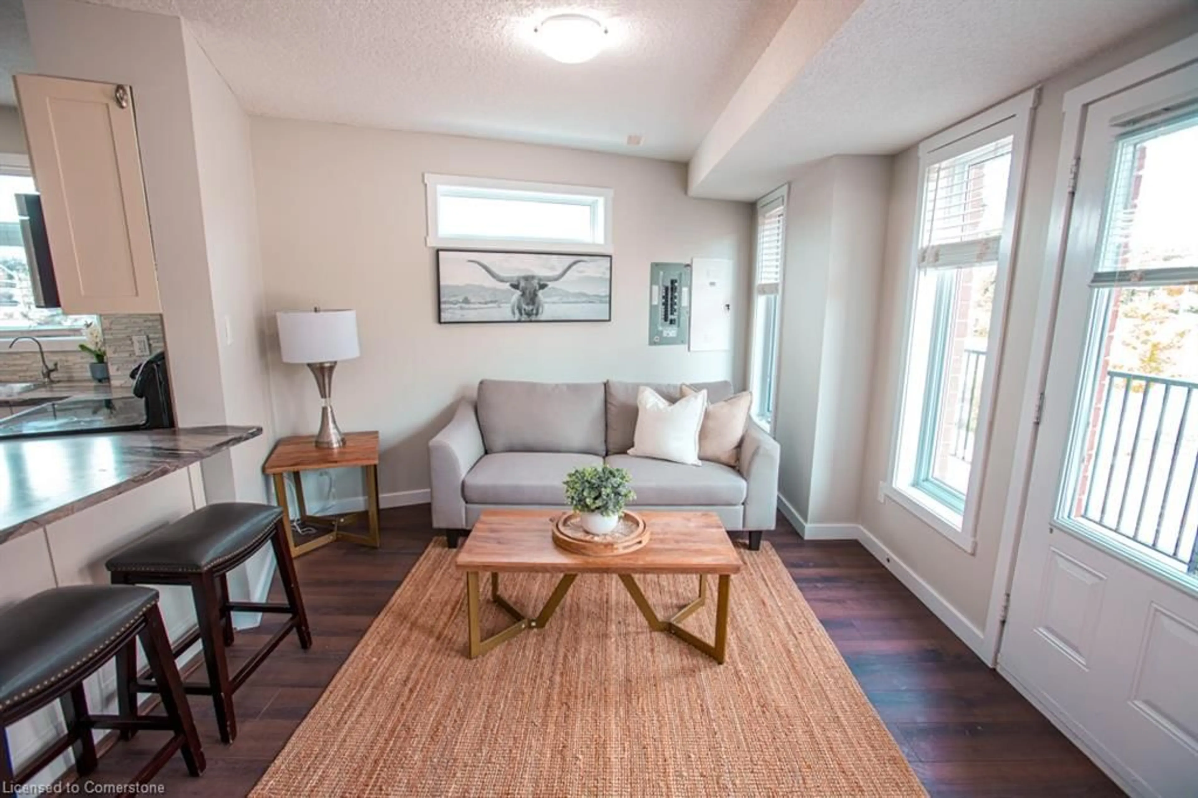 Living room with furniture, wood/laminate floor for 489 East Ave #B, Kitchener Ontario N2H 0A8