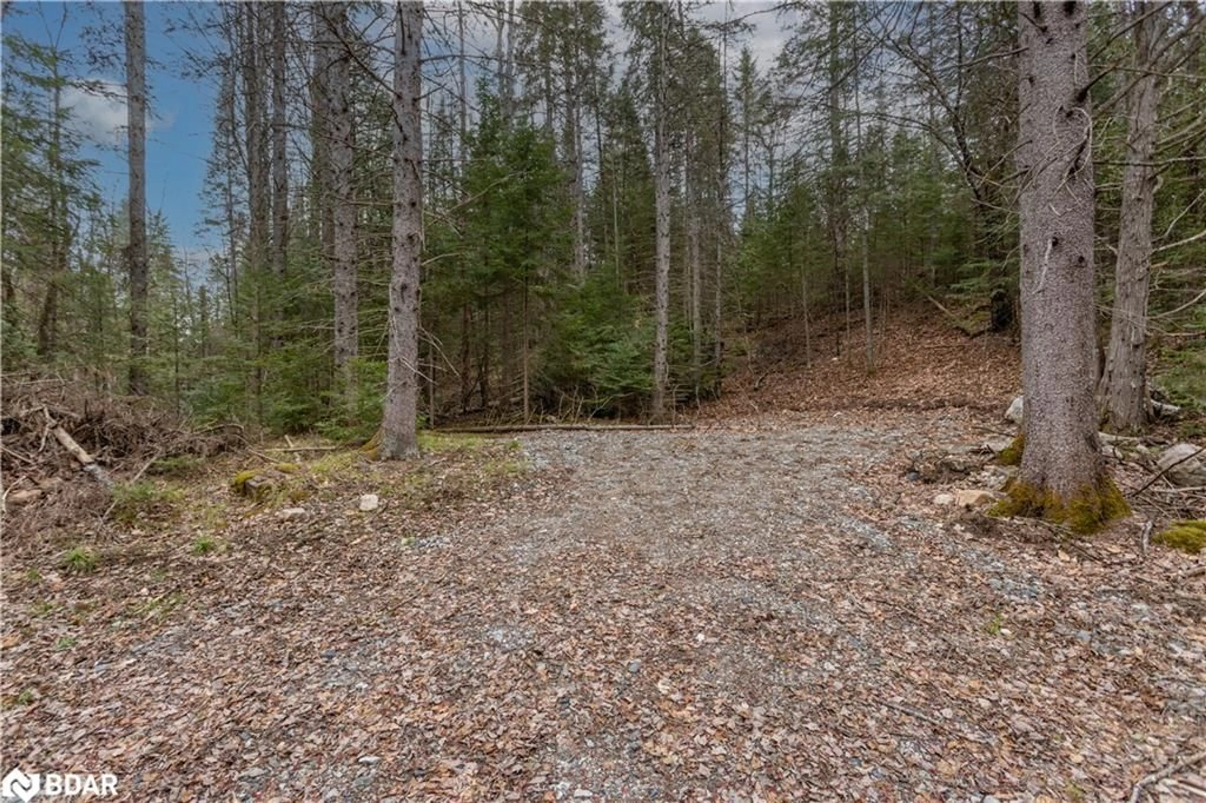 Unknown for 1272 Ursa Rd, Haliburton Ontario K0M 1R0