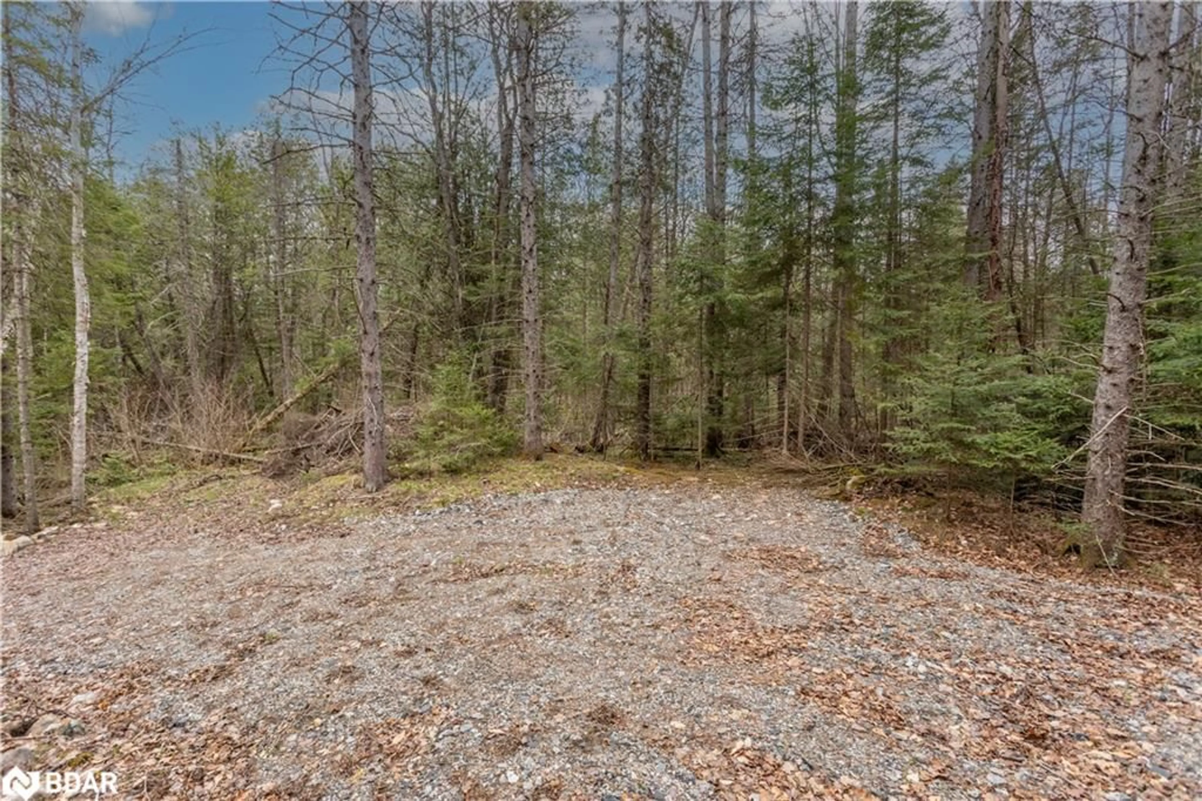 A pic from outside/outdoor area/front of a property/back of a property/a pic from drone, forest/trees view for 1272 Ursa Rd, Haliburton Ontario K0M 1R0
