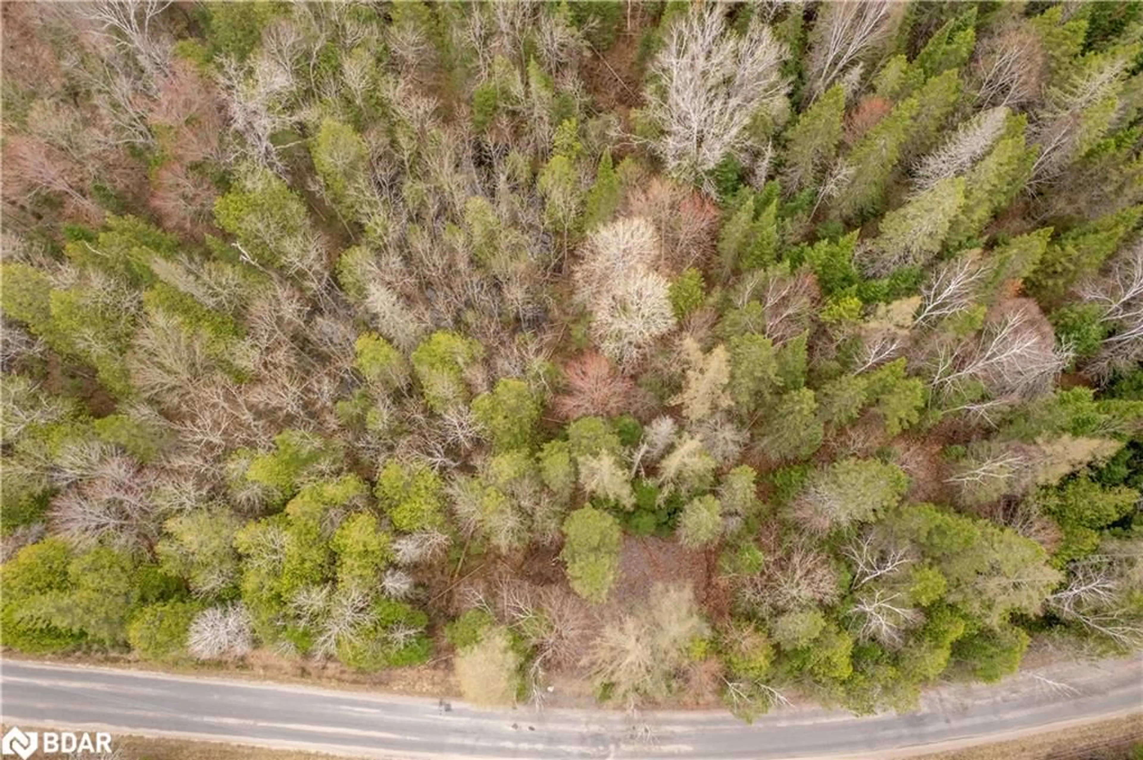 A pic from outside/outdoor area/front of a property/back of a property/a pic from drone, forest/trees view for 1272 Ursa Rd, Haliburton Ontario K0M 1R0