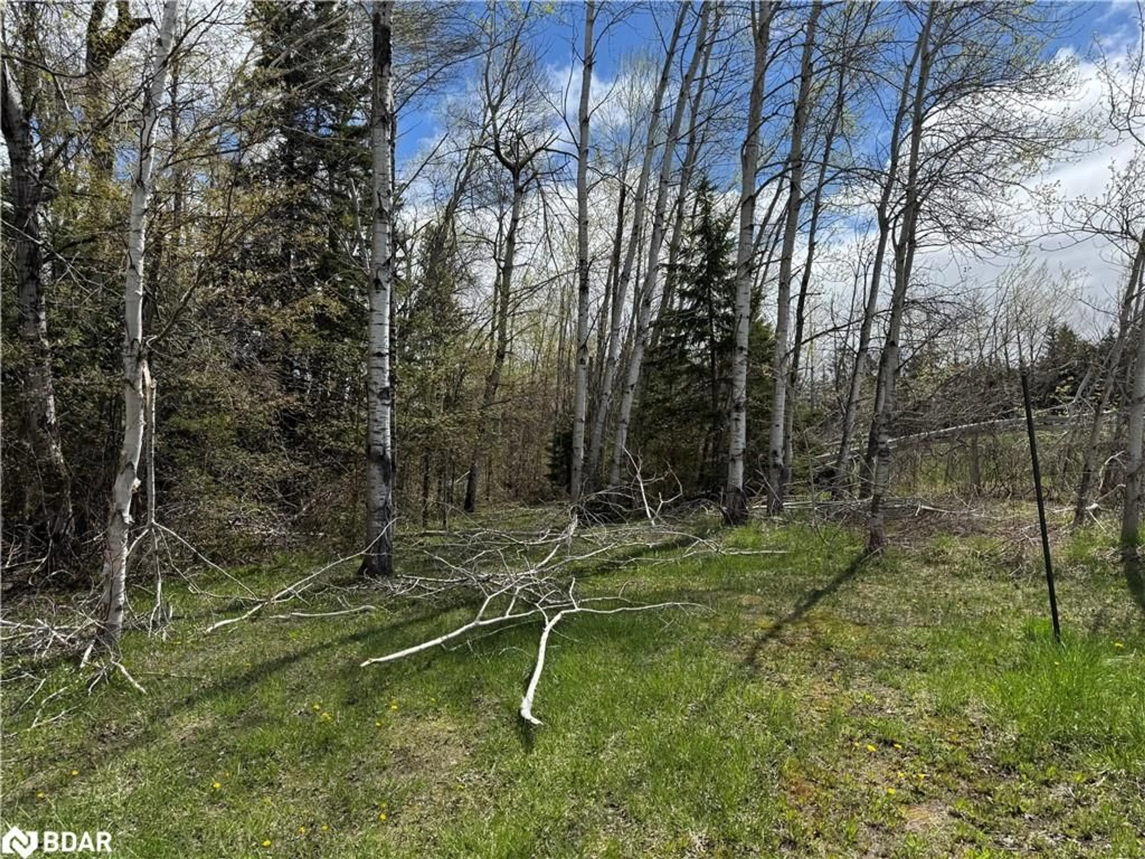 Unknown for 829 Prospect St, Woodville Ontario K0M 2T0