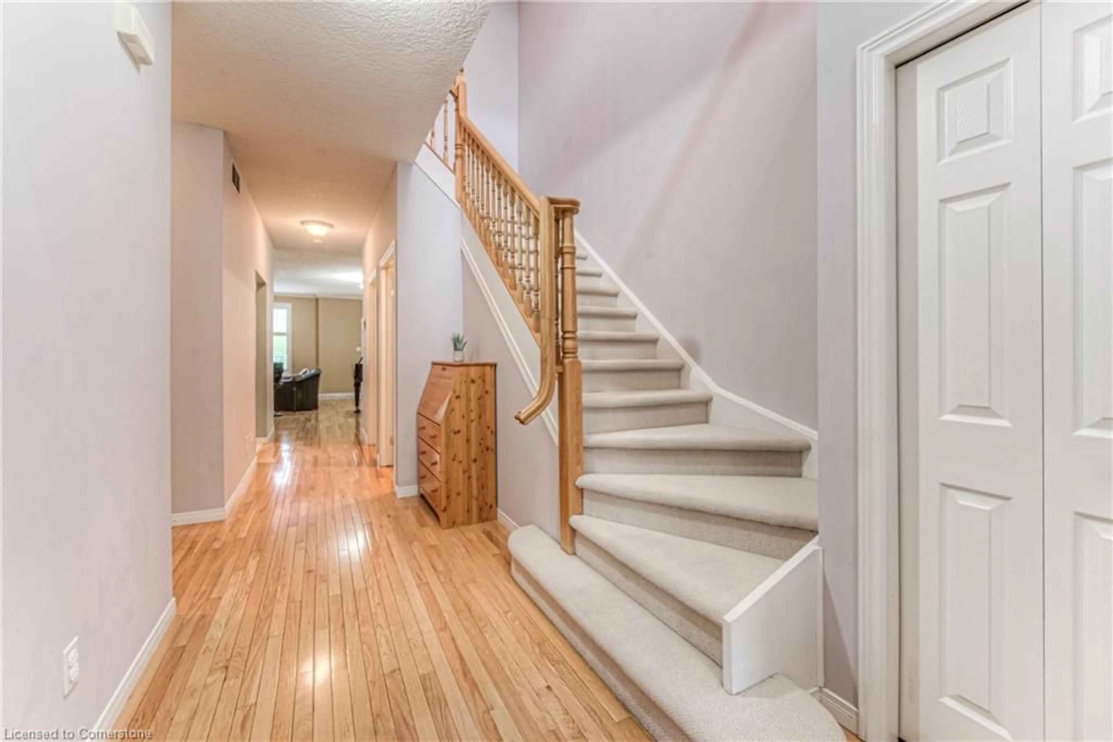 Unknown for 38 Norman St, Waterloo Ontario N2L 6L5
