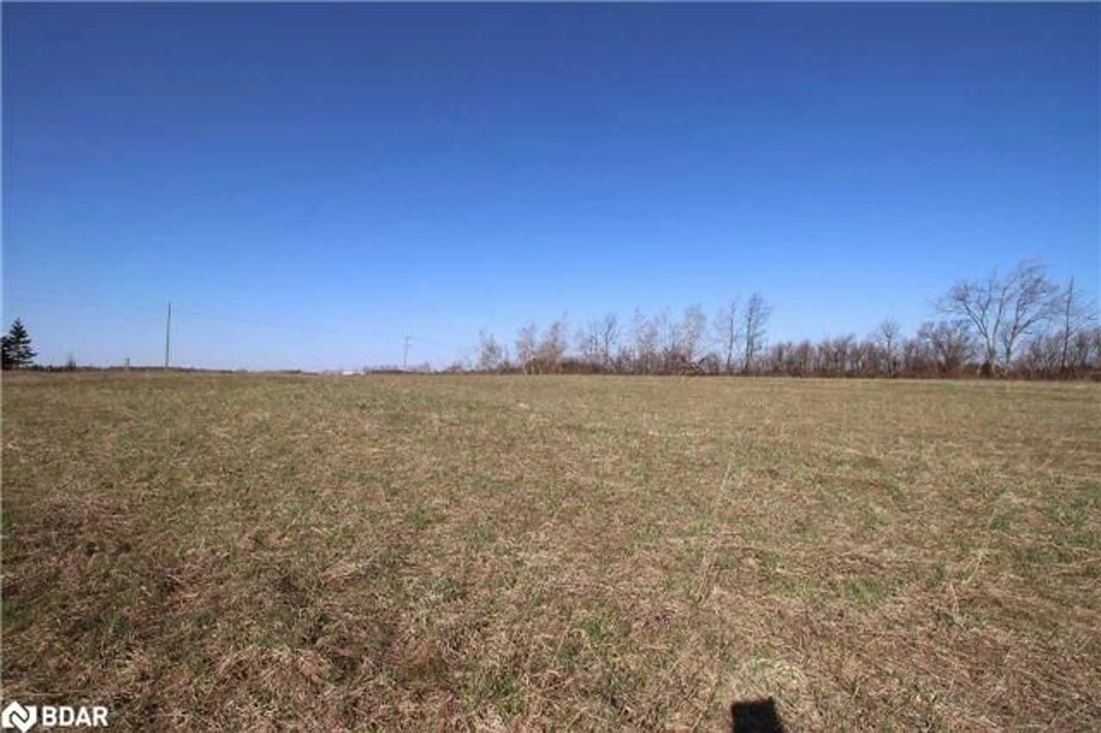 A pic from outside/outdoor area/front of a property/back of a property/a pic from drone, forest/trees view for 772789 N/A Hwy, Grey Highlands Ontario N0B 1C0