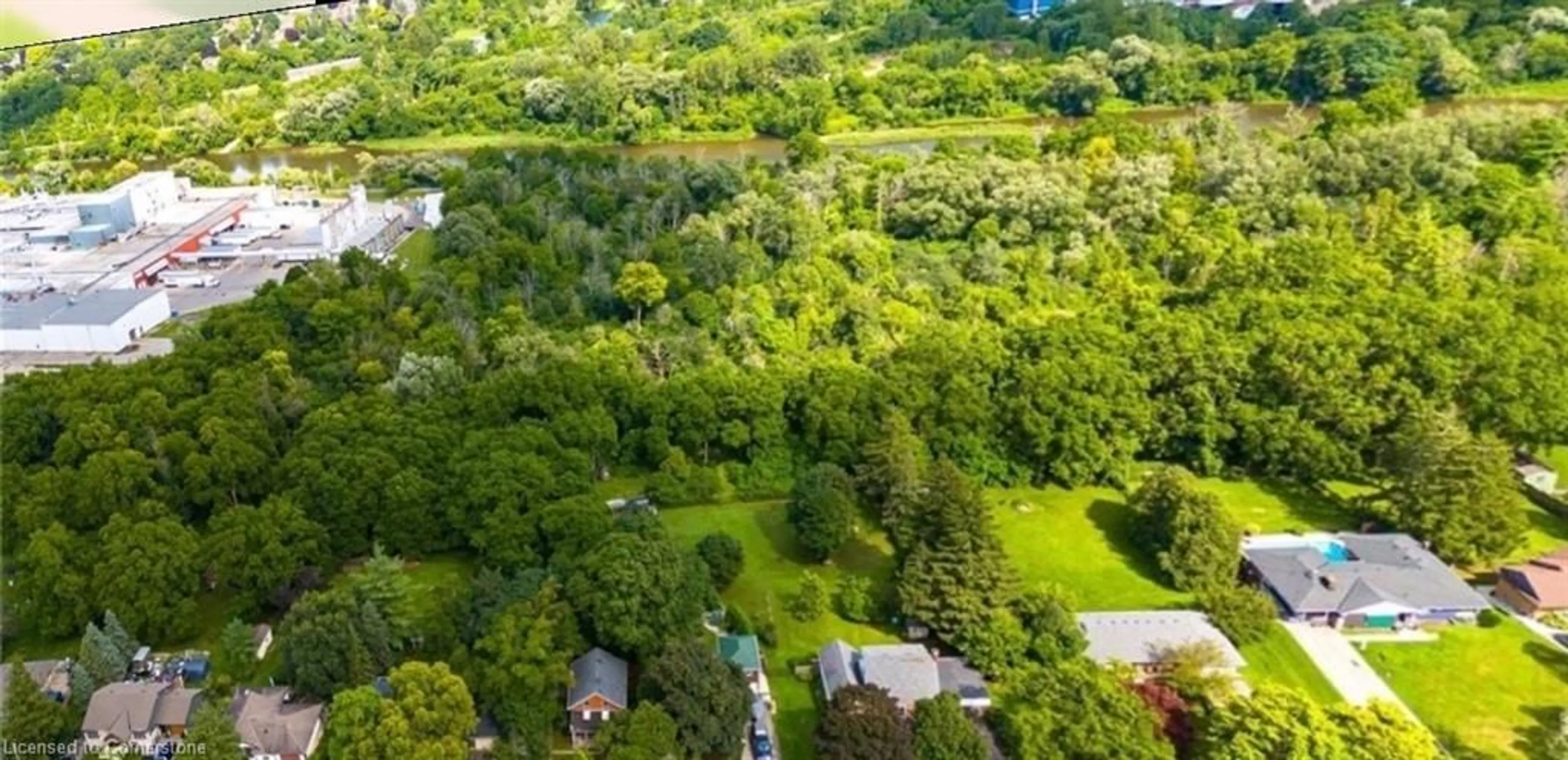 A pic from outside/outdoor area/front of a property/back of a property/a pic from drone, forest/trees view for 169 Glenmorris St, Cambridge Ontario N1S 2Z4