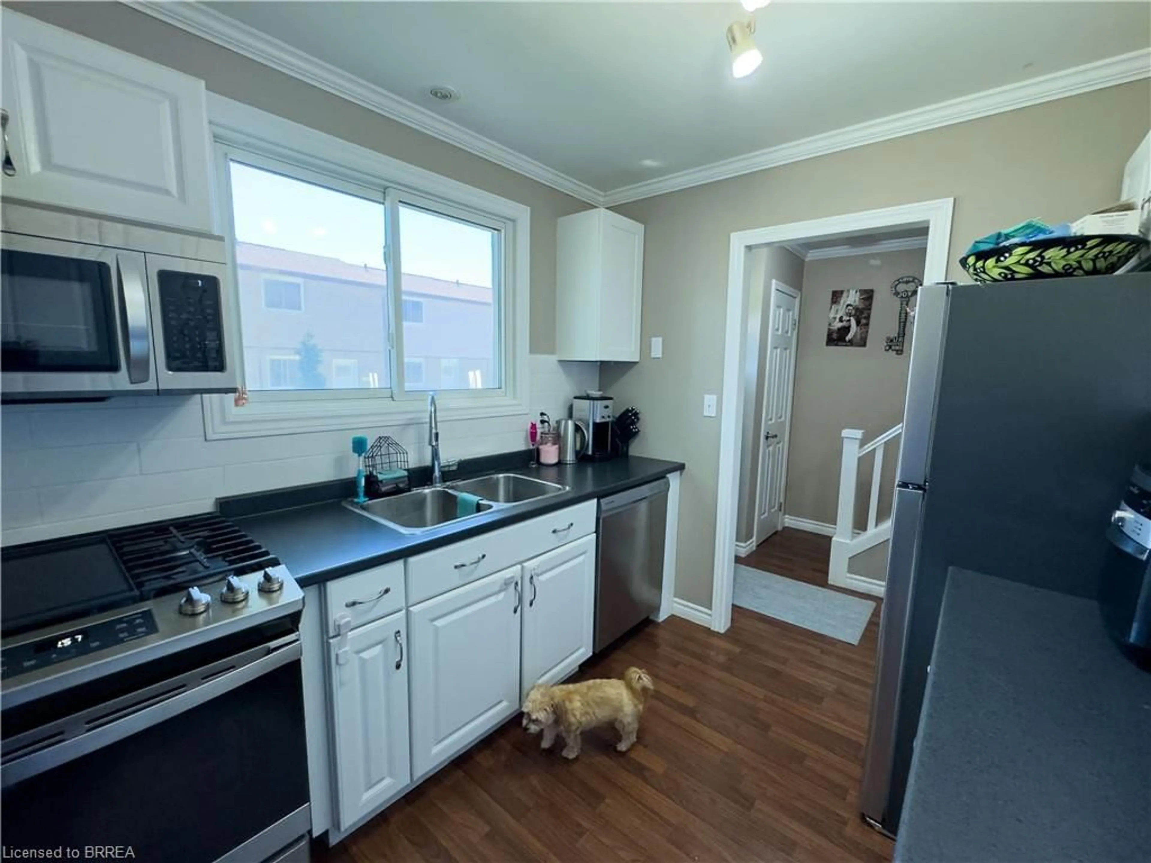 Standard kitchen, unknown for 379 Darling St #18, Brantford Ontario N3S 7G4