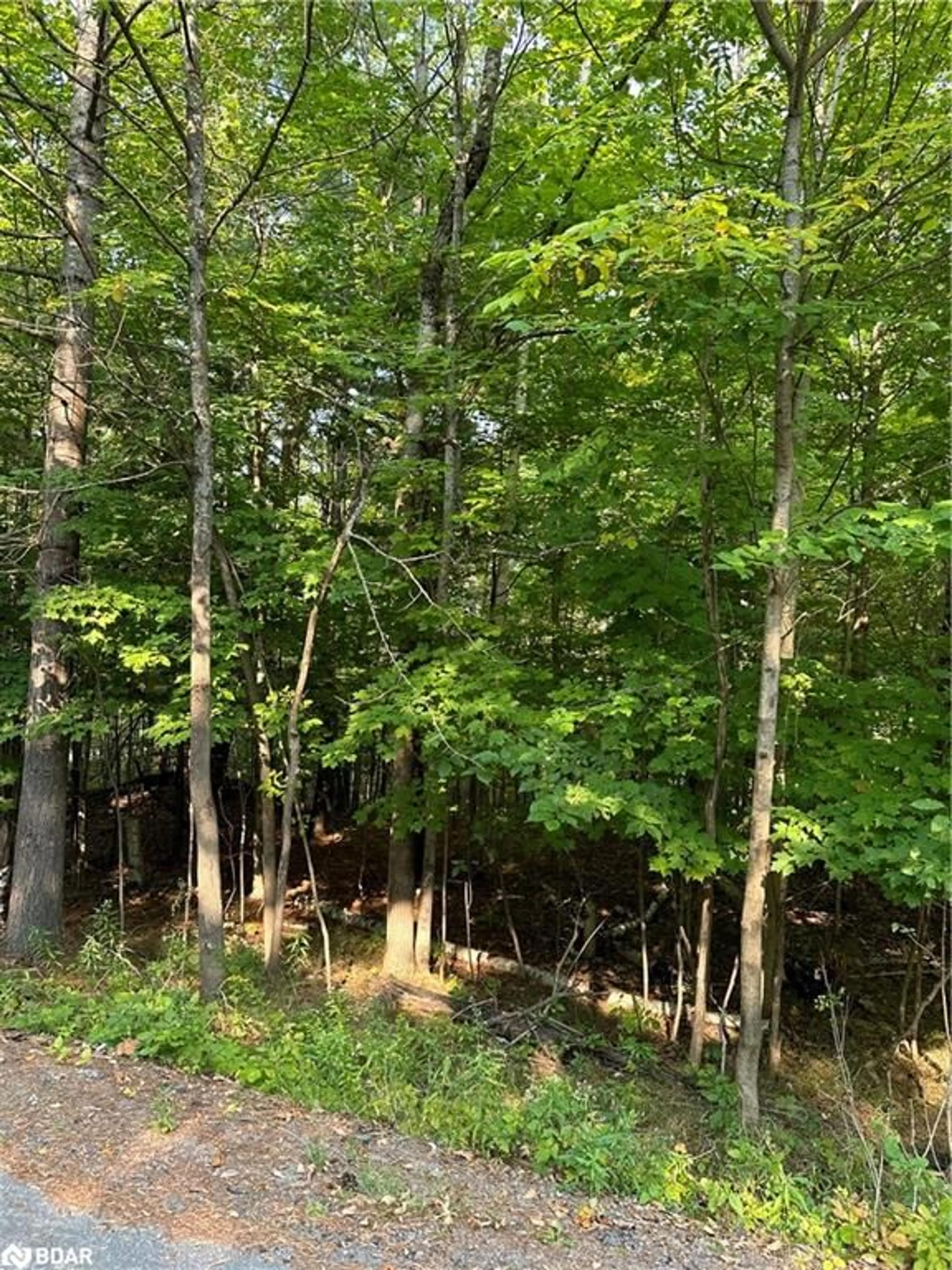 Unknown for 1000 Island Park Rd, Port Carling Ontario P0B 1J0