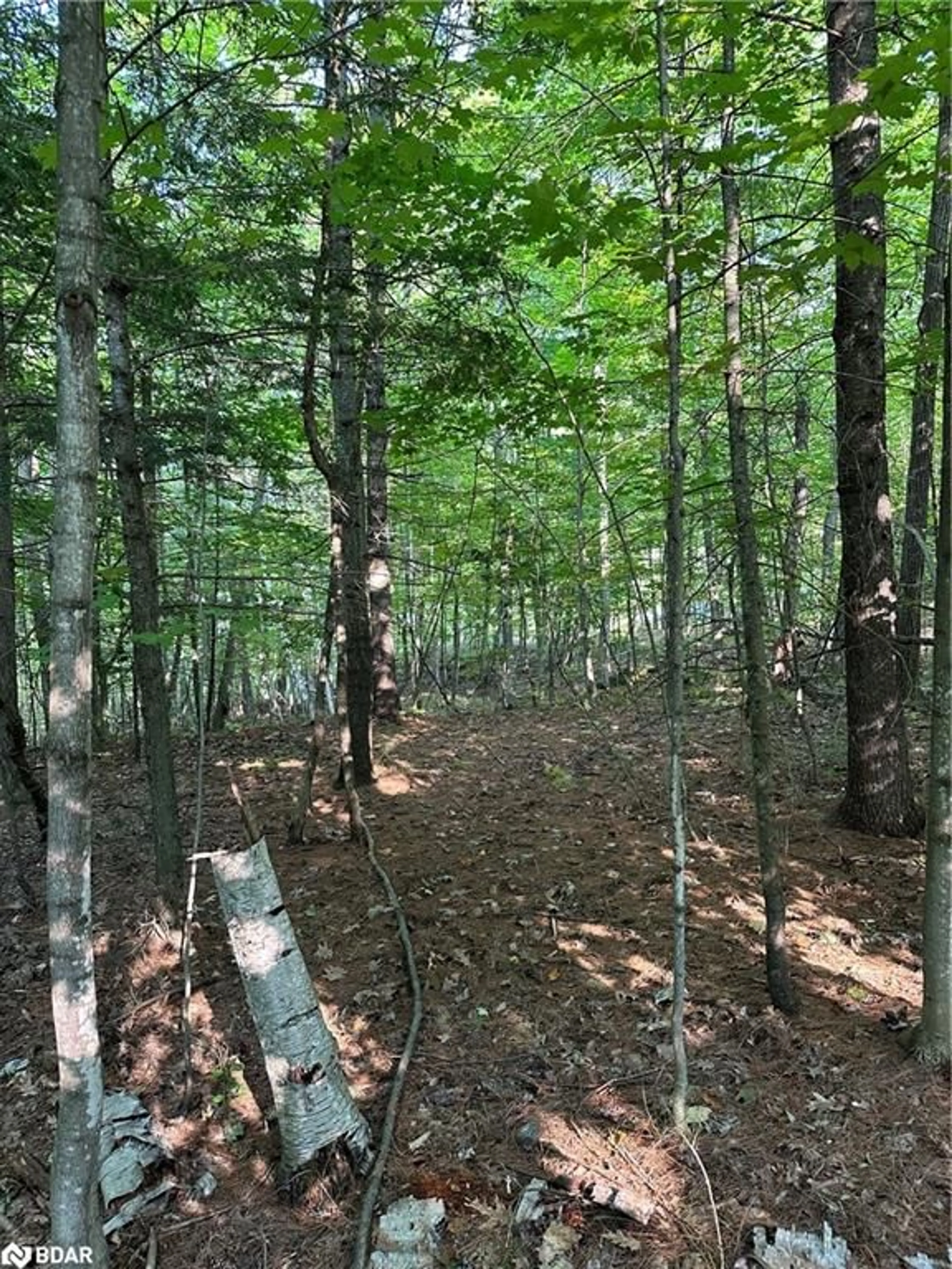 Unknown for 1000 Island Park Rd, Port Carling Ontario P0B 1J0