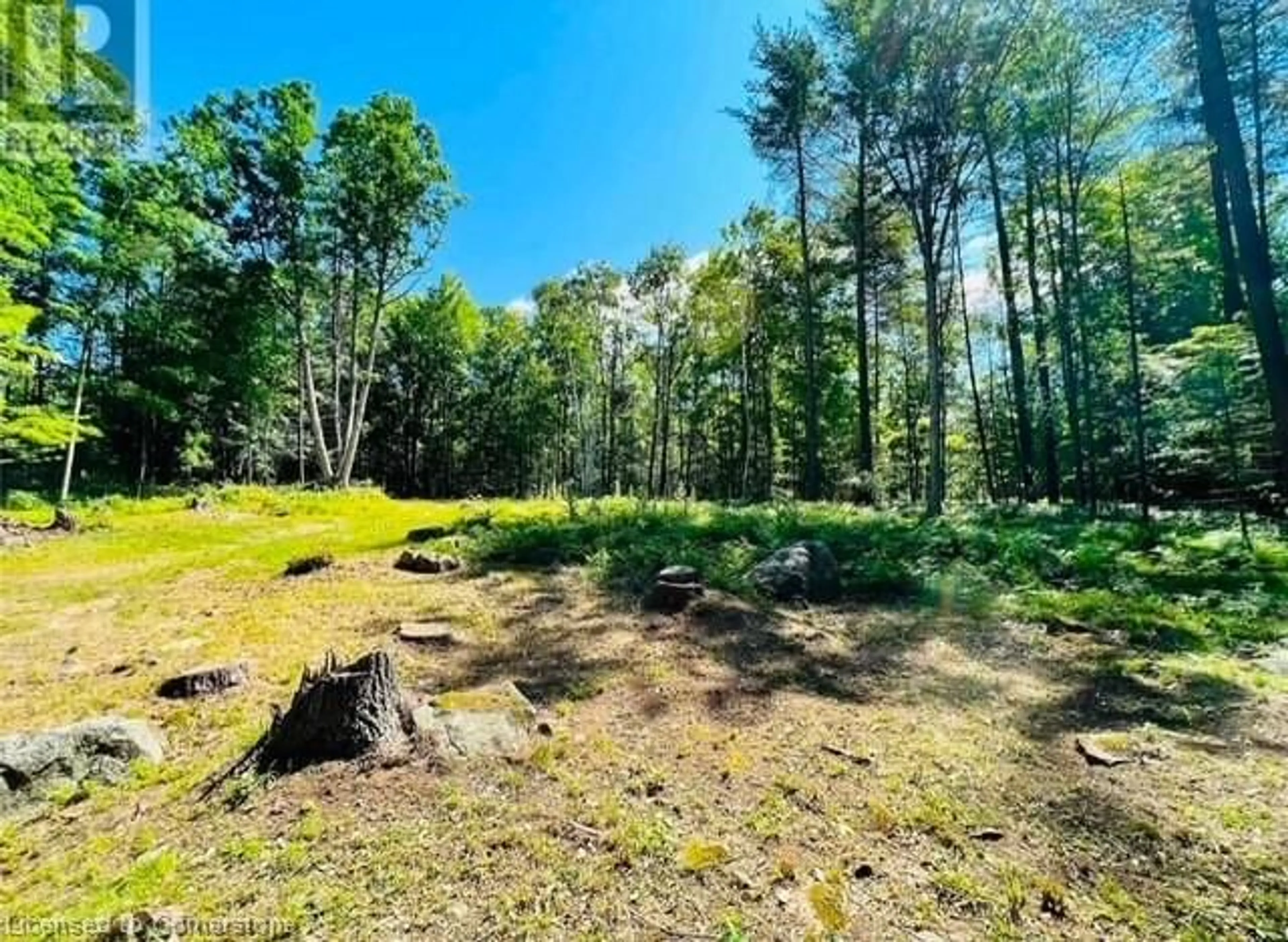 A pic from outside/outdoor area/front of a property/back of a property/a pic from drone, forest/trees view for 629 Bowen Rd, Havelock-Belmont-Methuen Twp Ontario K0L 1Z0