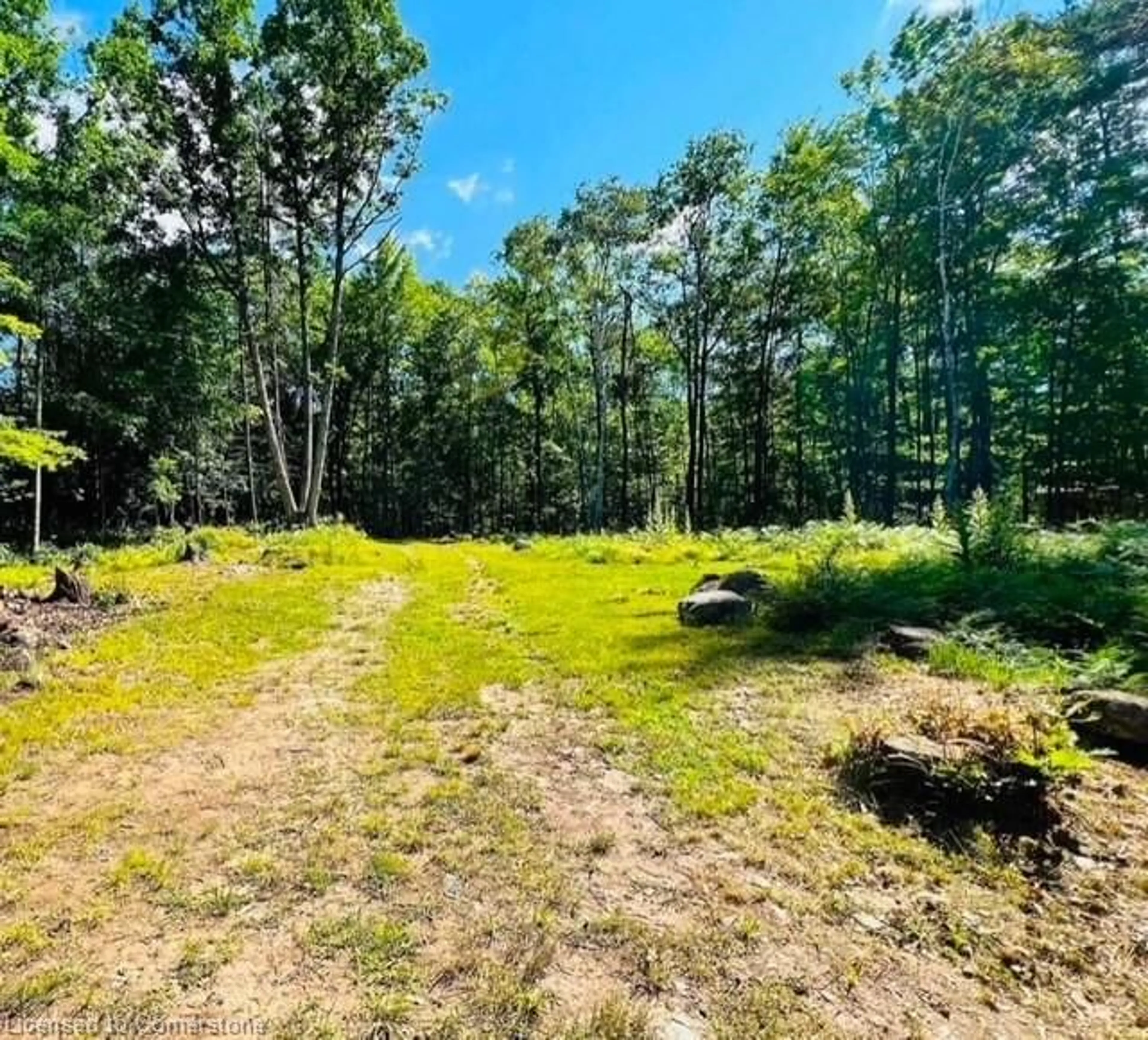 A pic from outside/outdoor area/front of a property/back of a property/a pic from drone, forest/trees view for 629 Bowen Rd, Havelock-Belmont-Methuen Twp Ontario K0L 1Z0