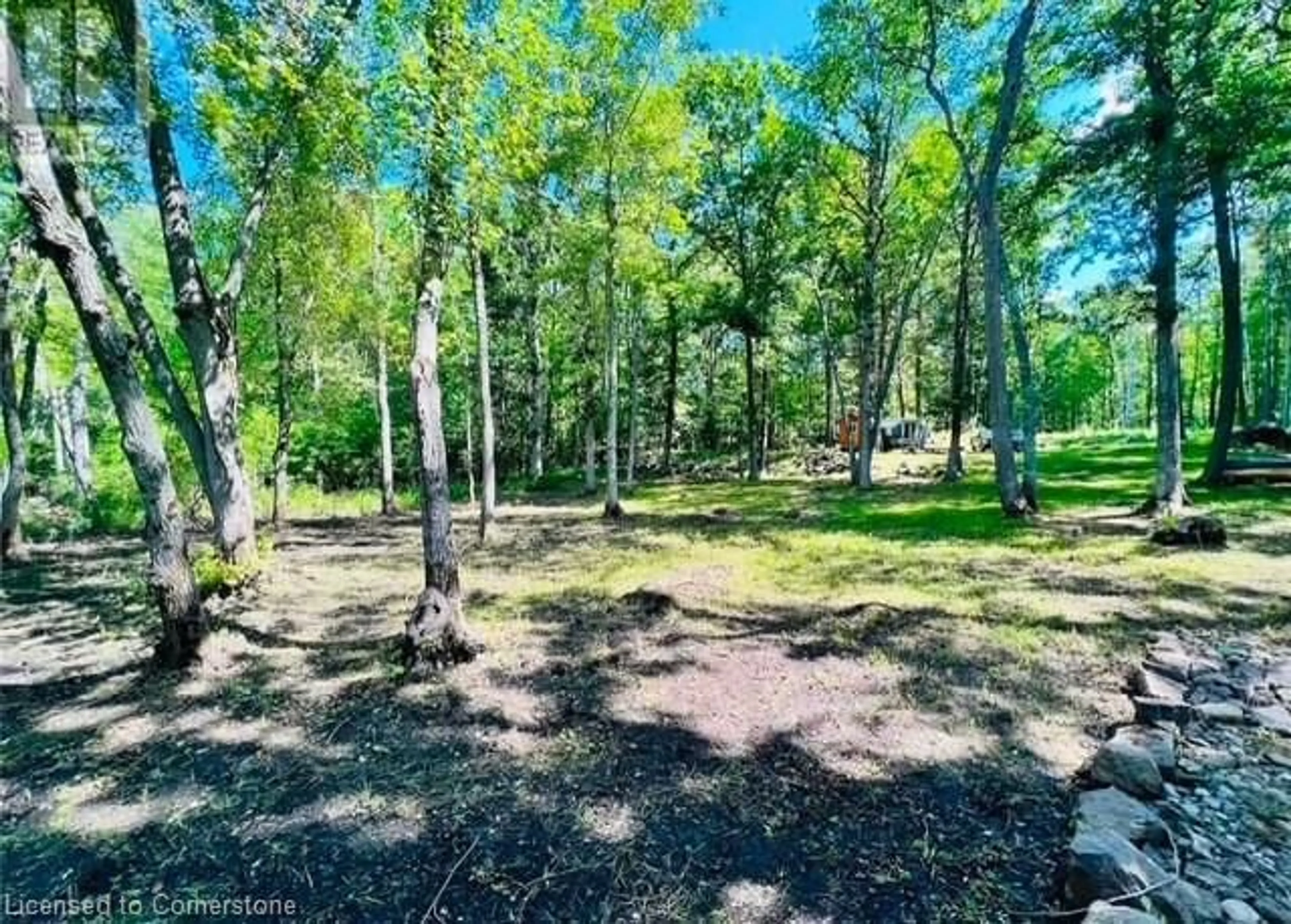 A pic from outside/outdoor area/front of a property/back of a property/a pic from drone, forest/trees view for 629 Bowen Rd, Havelock-Belmont-Methuen Twp Ontario K0L 1Z0