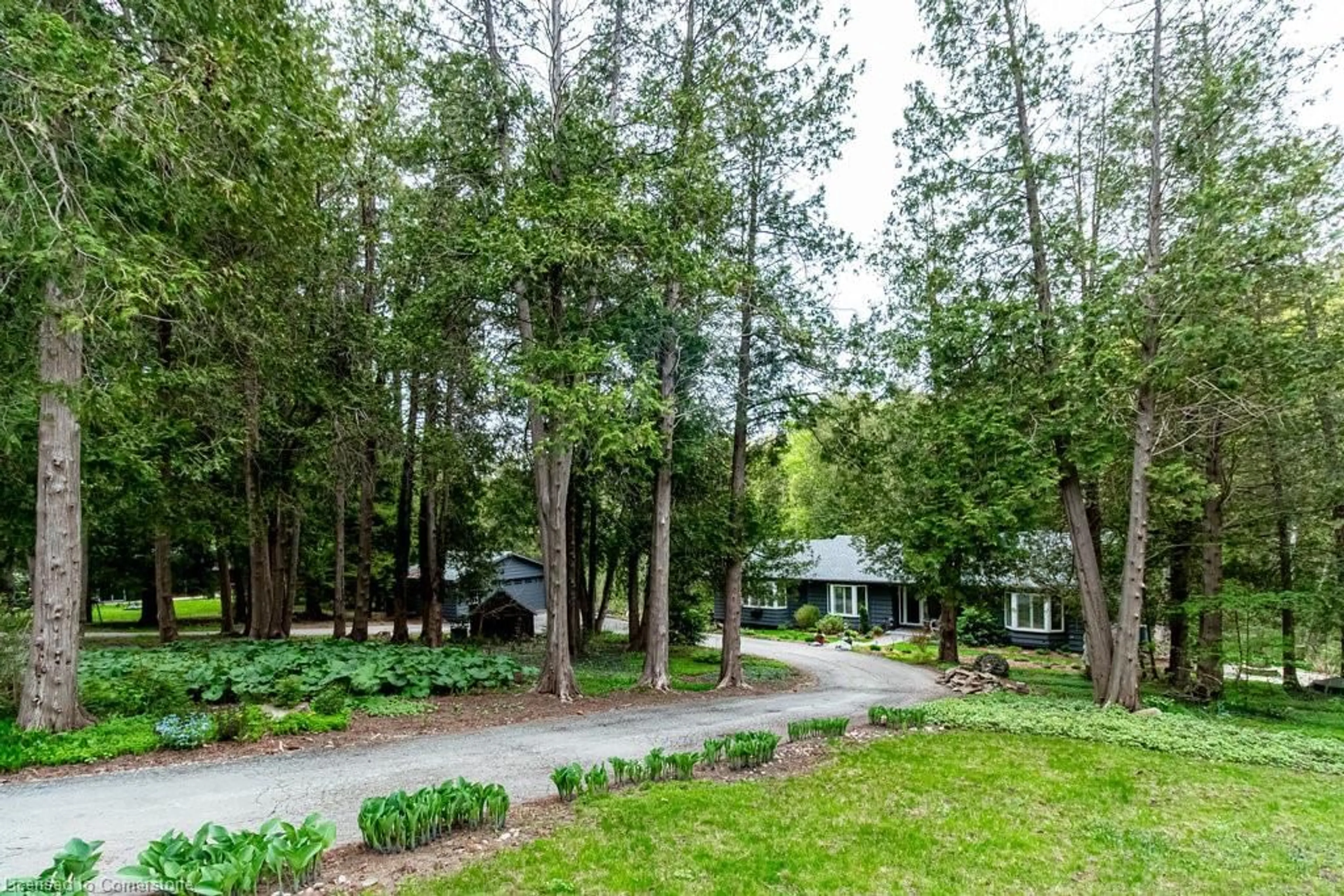 Patio, forest/trees view for 6087 Cedar Springs Rd, Burlington Ontario L7P 0C4