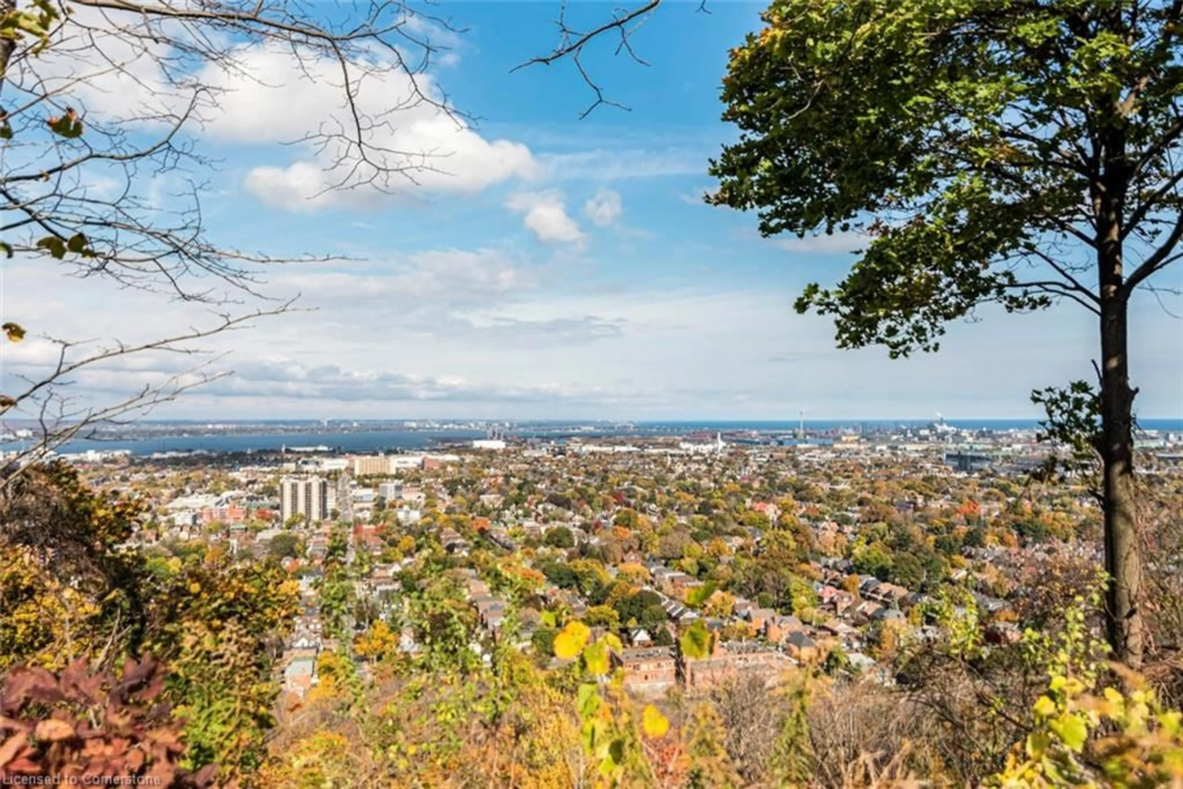 Unknown for 18 Cliff Ave, Hamilton Ontario L8V 2R9