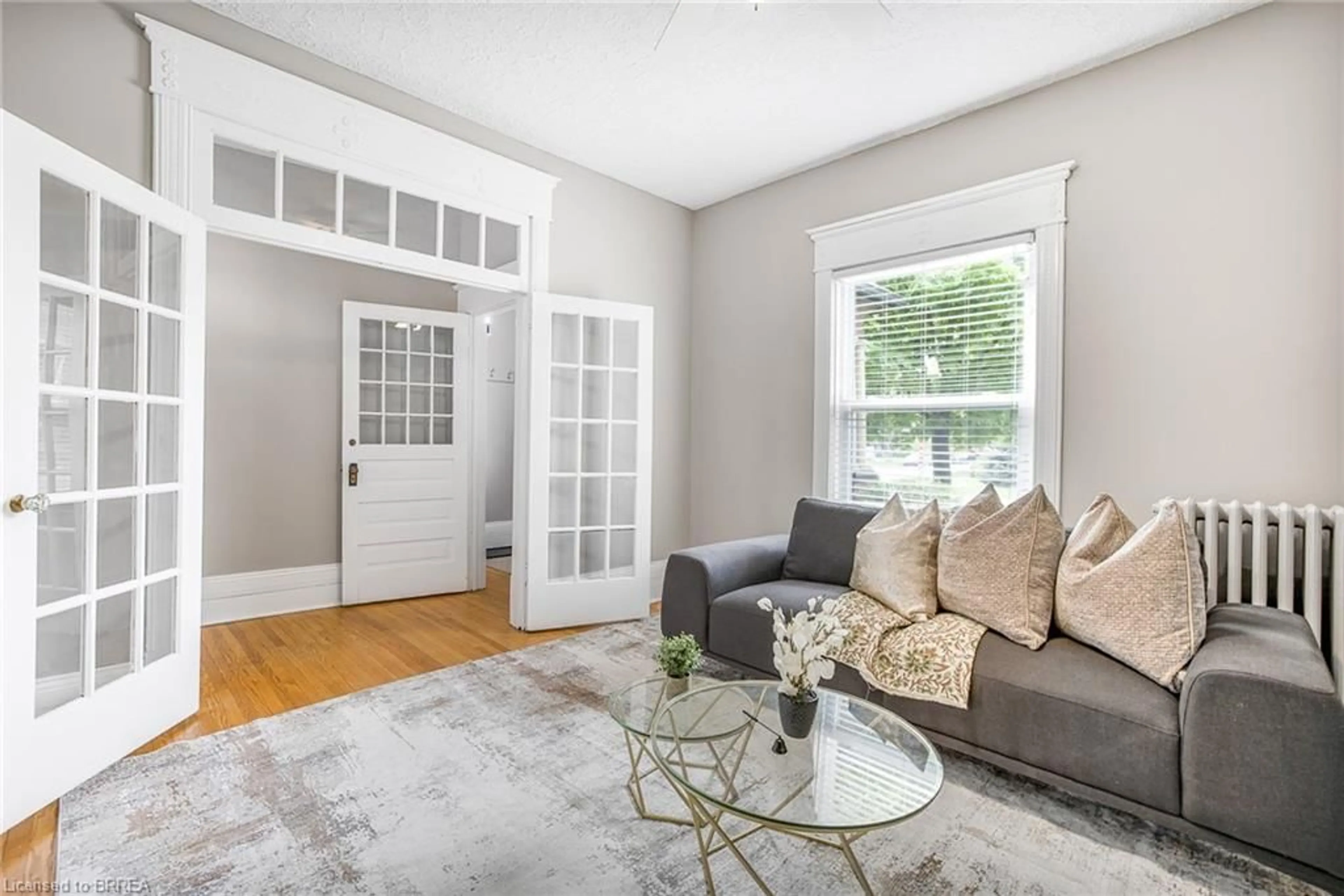 Living room with furniture, unknown for 209 Murray St, Brantford Ontario N3S 5R8