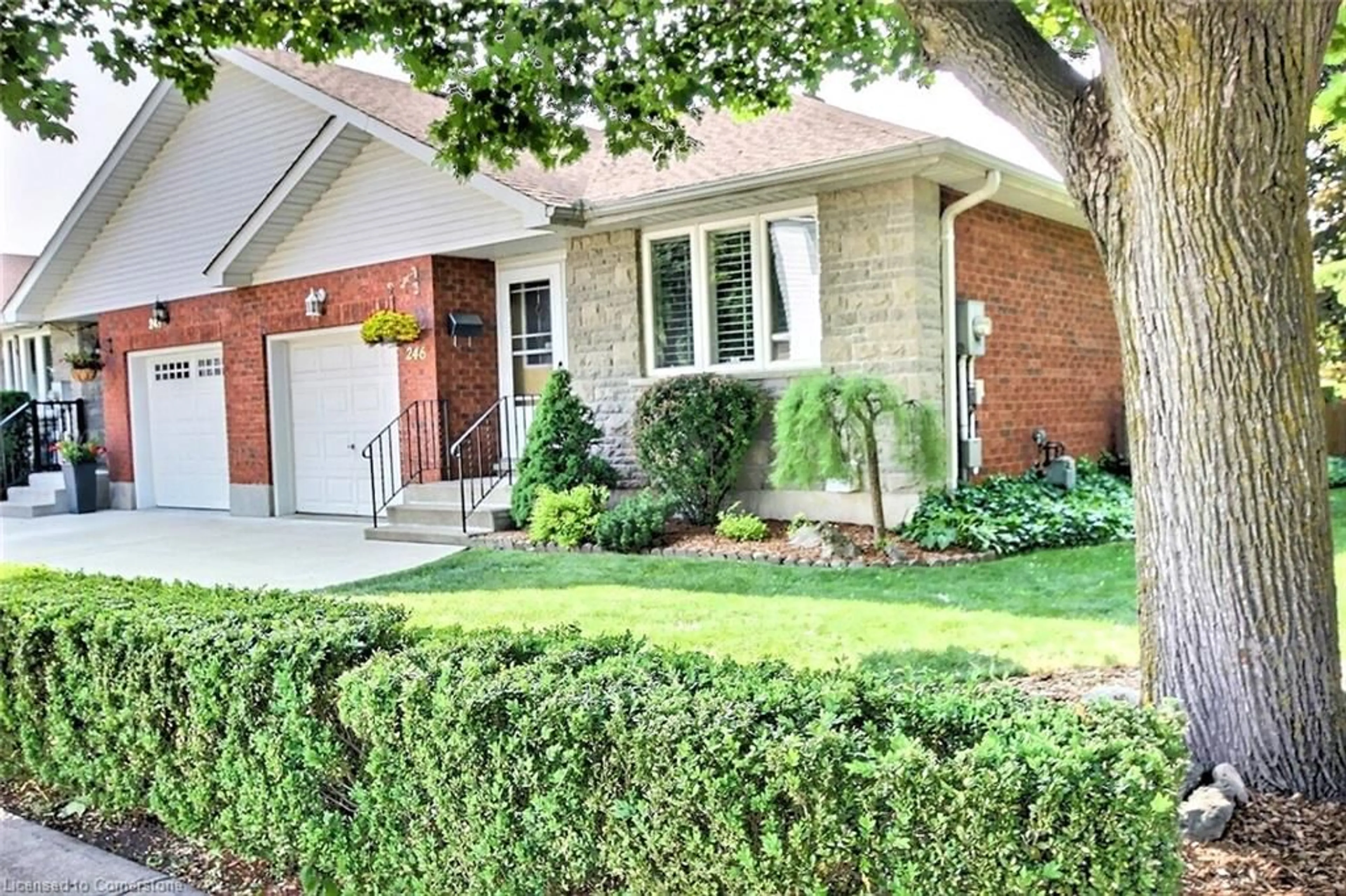 Home with brick exterior material, street for 246 Dolph St, Cambridge Ontario N3H 5P1