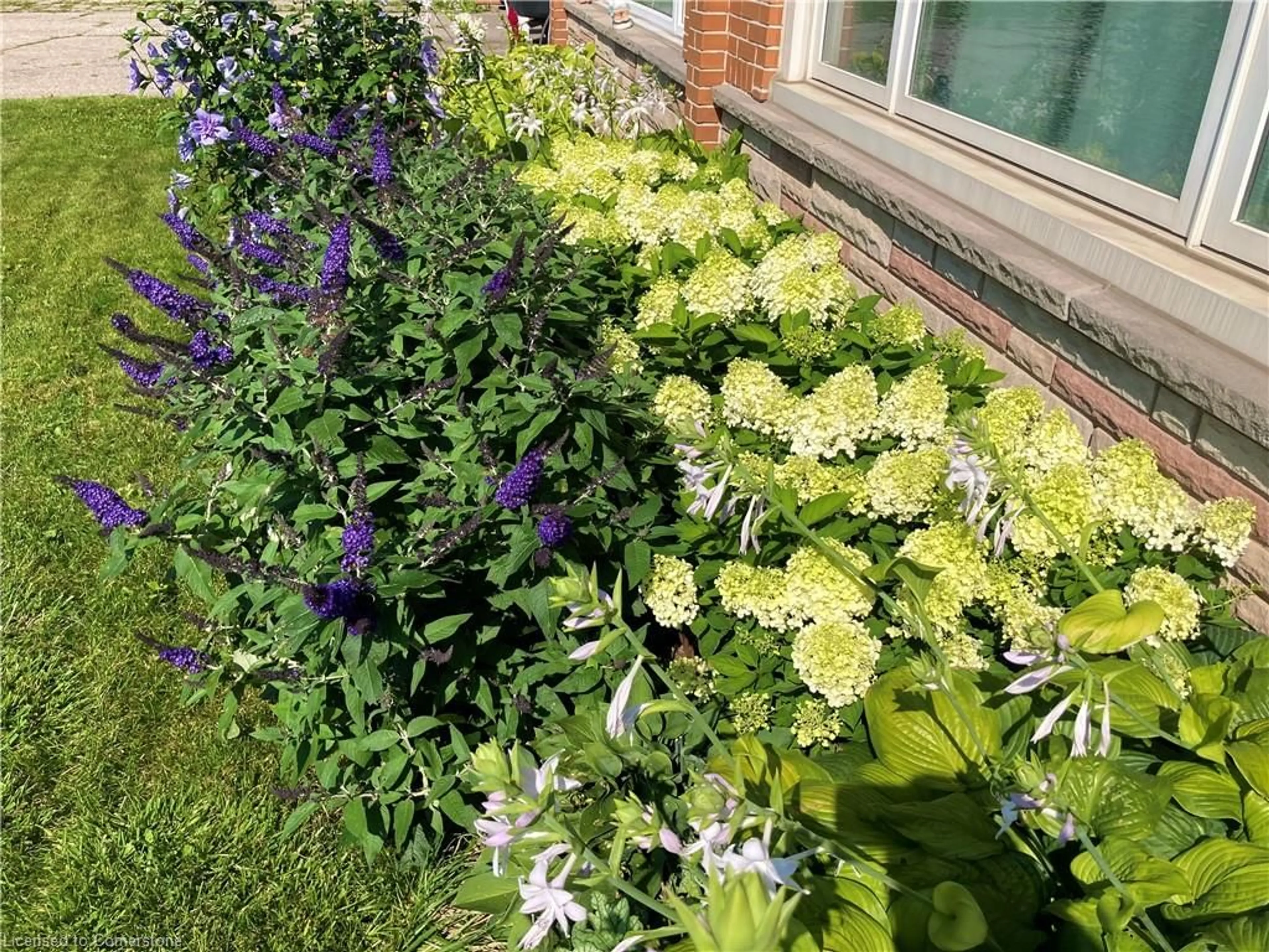 A pic from outside/outdoor area/front of a property/back of a property/a pic from drone, street for 2392 Mountainside Dr, Burlington Ontario L7P 1C5