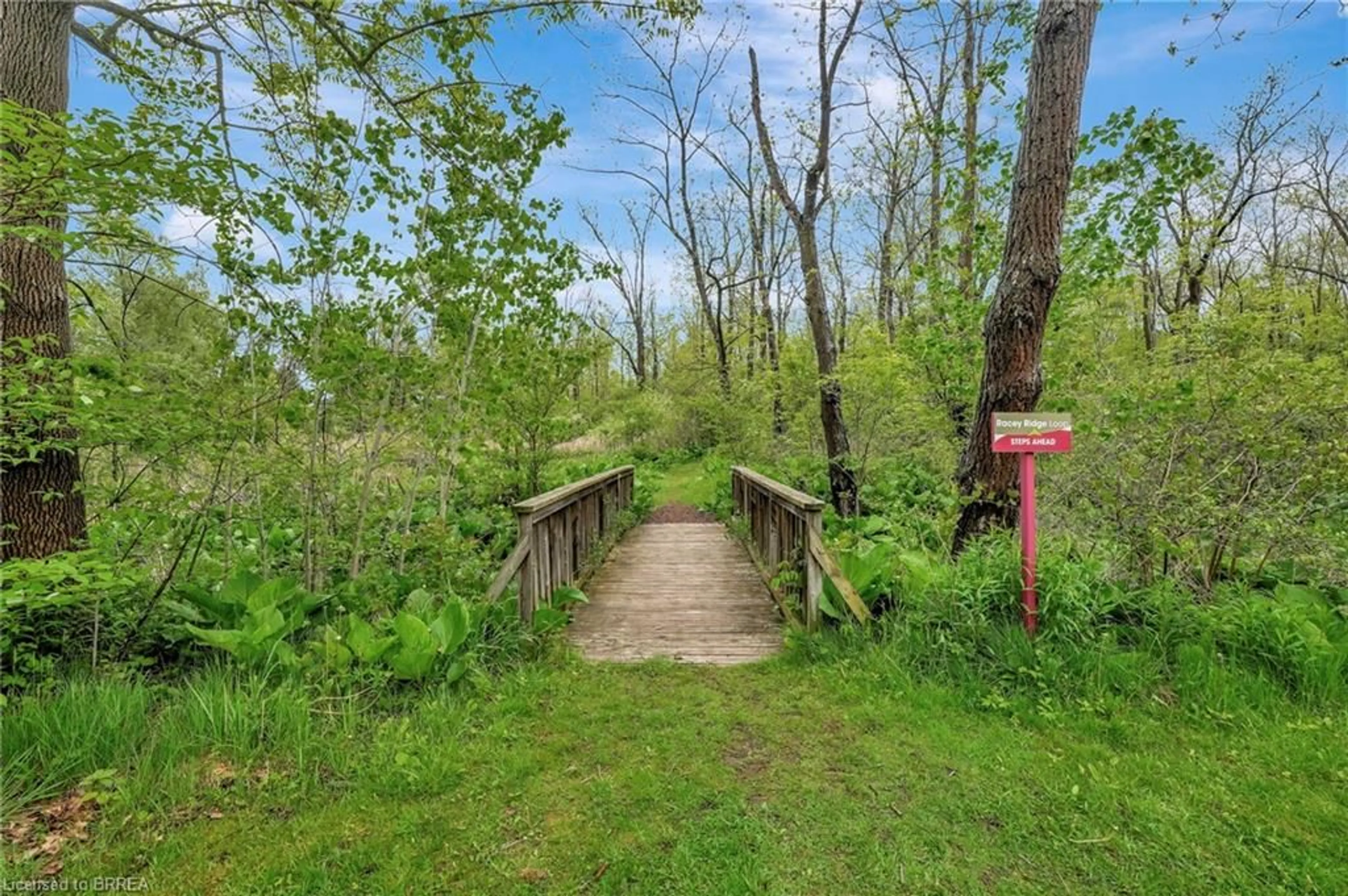 Patio, forest/trees view for 729 Mount Pleasant Rd #B, Mount Pleasant Ontario N0E 1K0