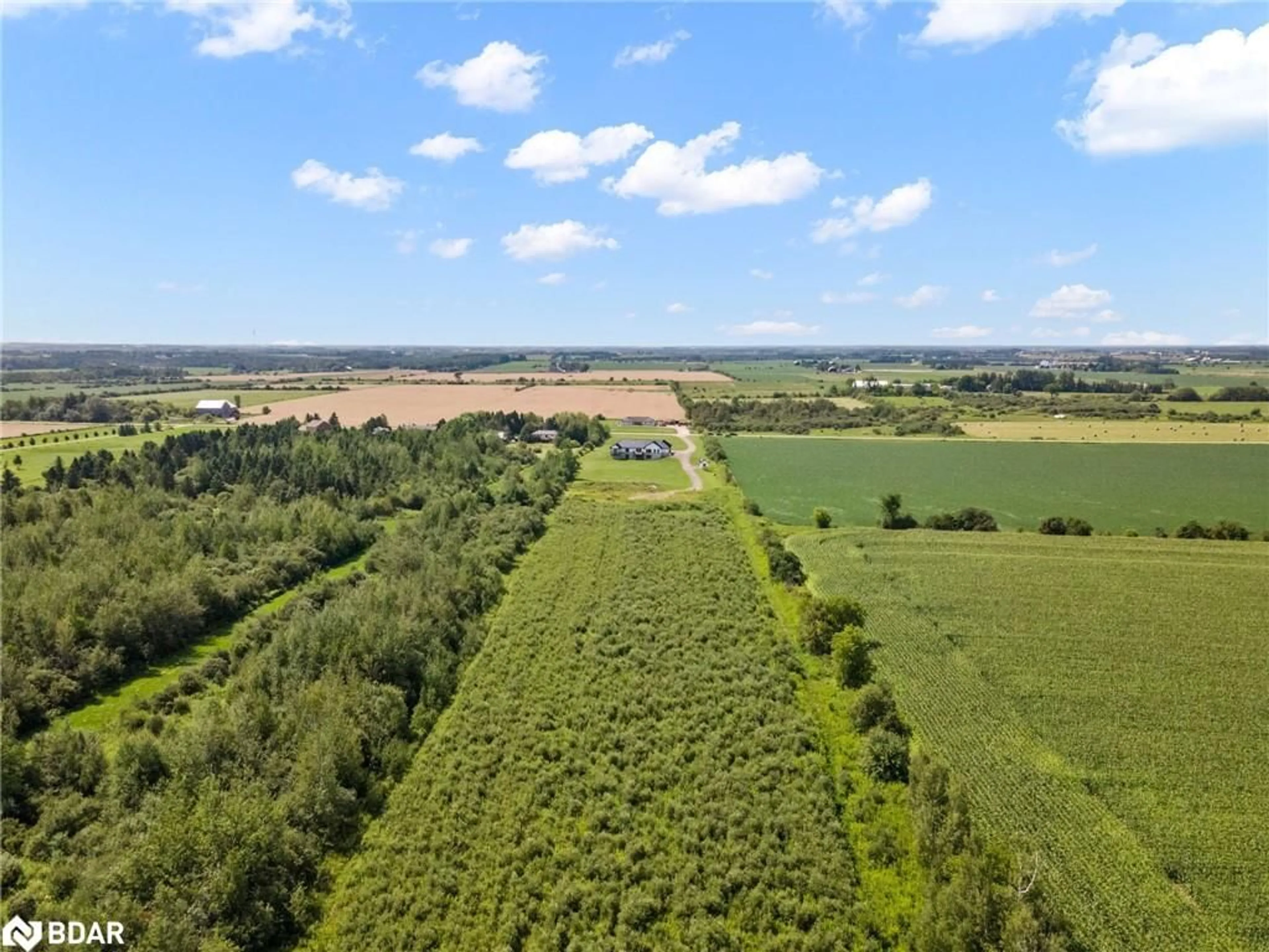 A pic from outside/outdoor area/front of a property/back of a property/a pic from drone, forest/trees view for 373227 6th Line Line, Amaranth Ontario L9W 0M4