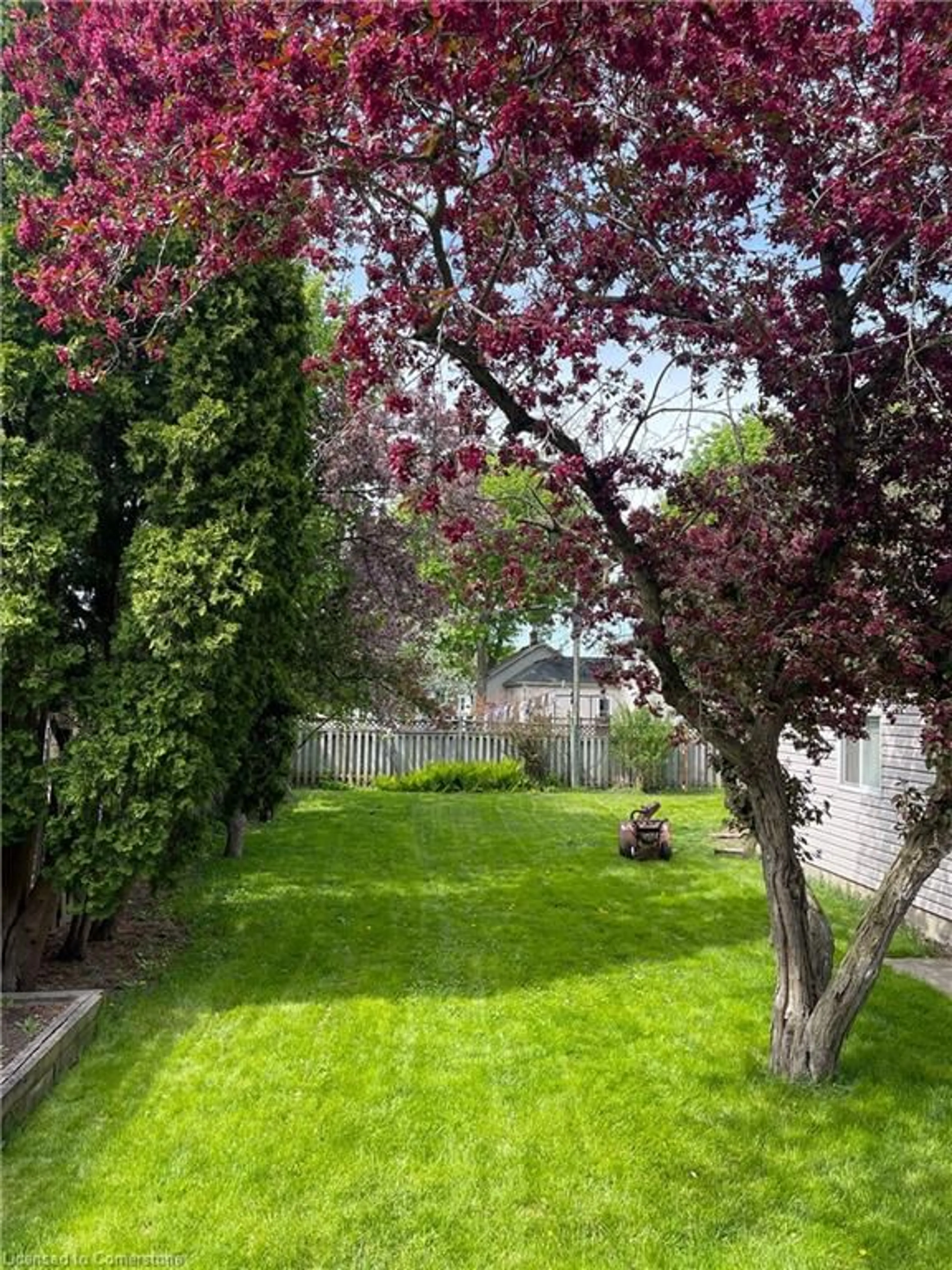 Patio, street for 249 Russell Ave, St. Catharines Ontario L2R 1X1
