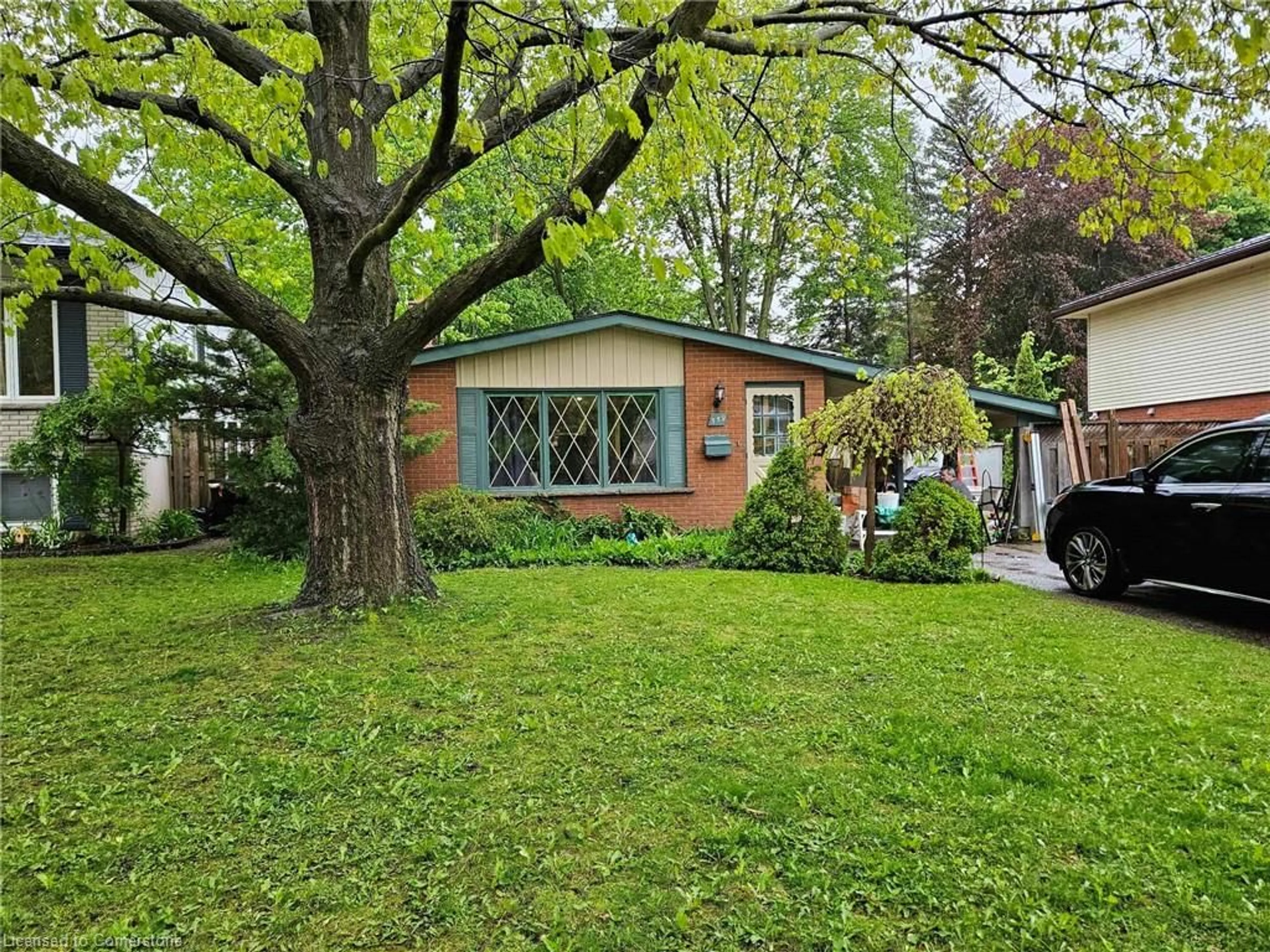 Unknown for 559 Sprucehill Ave, Waterloo Ontario N2L 4V8