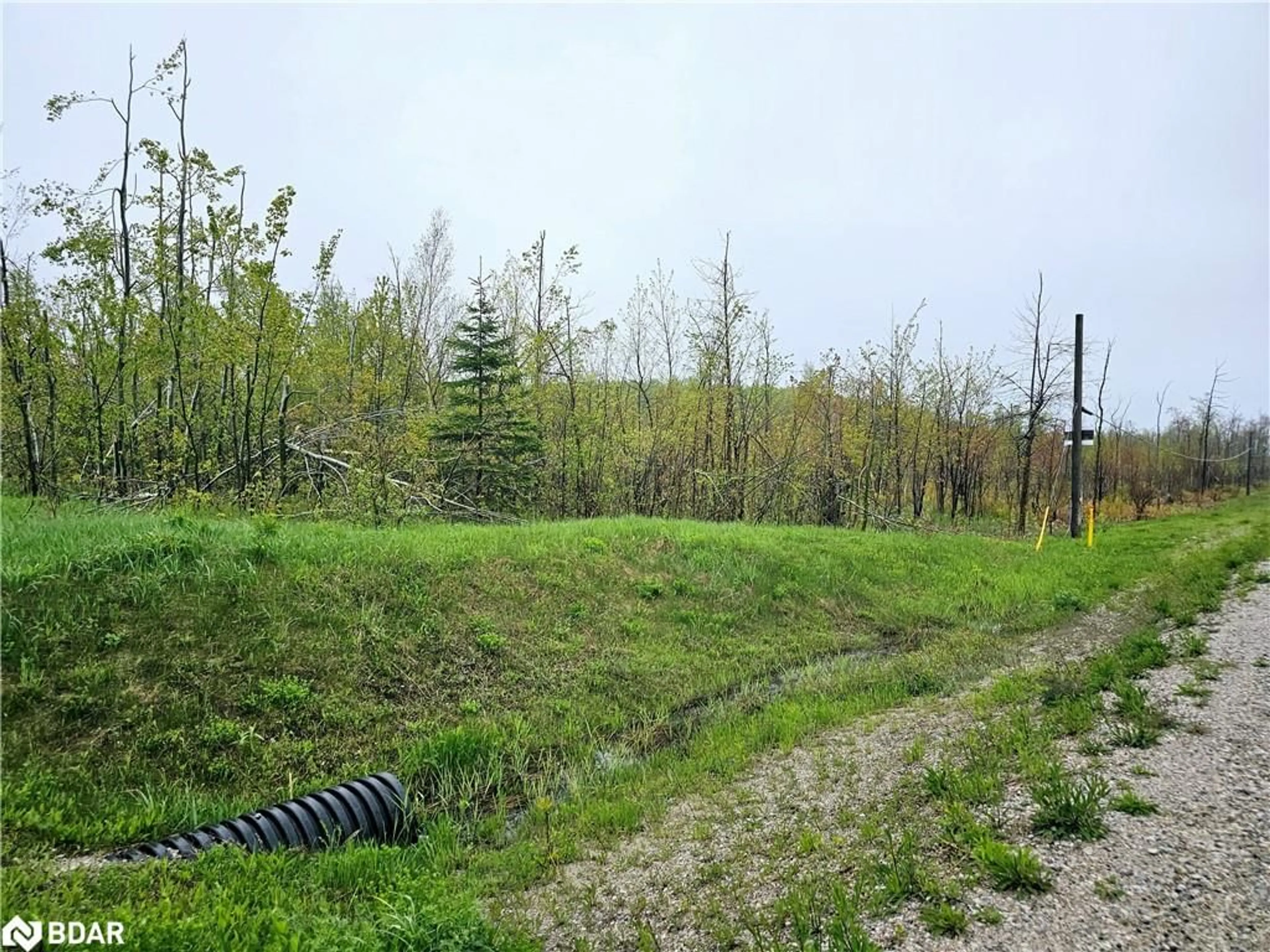 A pic from outside/outdoor area/front of a property/back of a property/a pic from drone, forest/trees view for PT LT 18 CON 11 Hwy 26, Meaford Ontario N4L 1W5