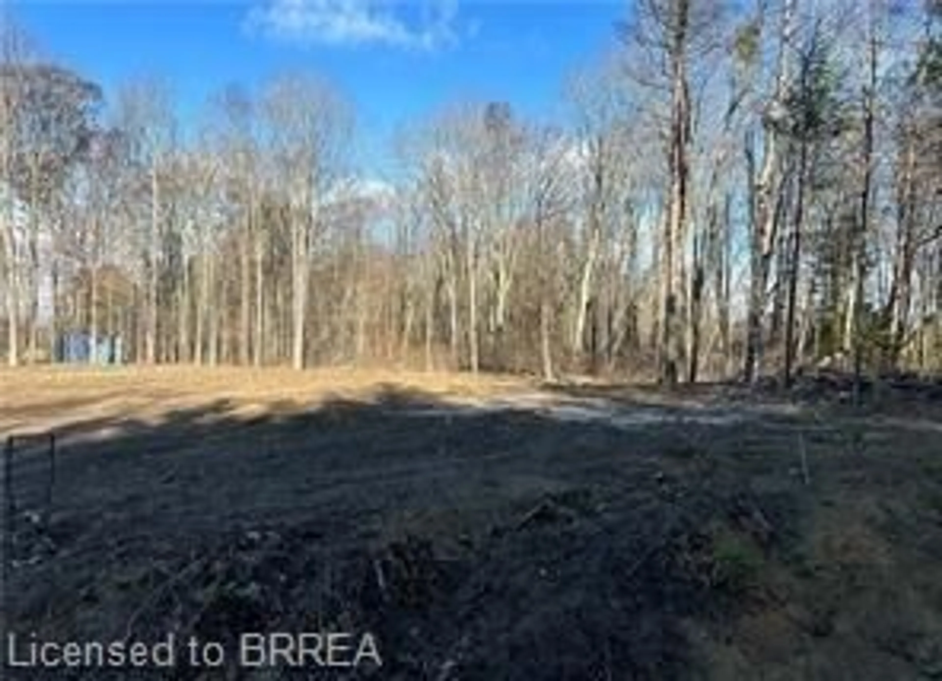 A pic from outside/outdoor area/front of a property/back of a property/a pic from drone, forest/trees view for 1757 Concession 4 Rd, St. Williams Ontario N0E 1P0