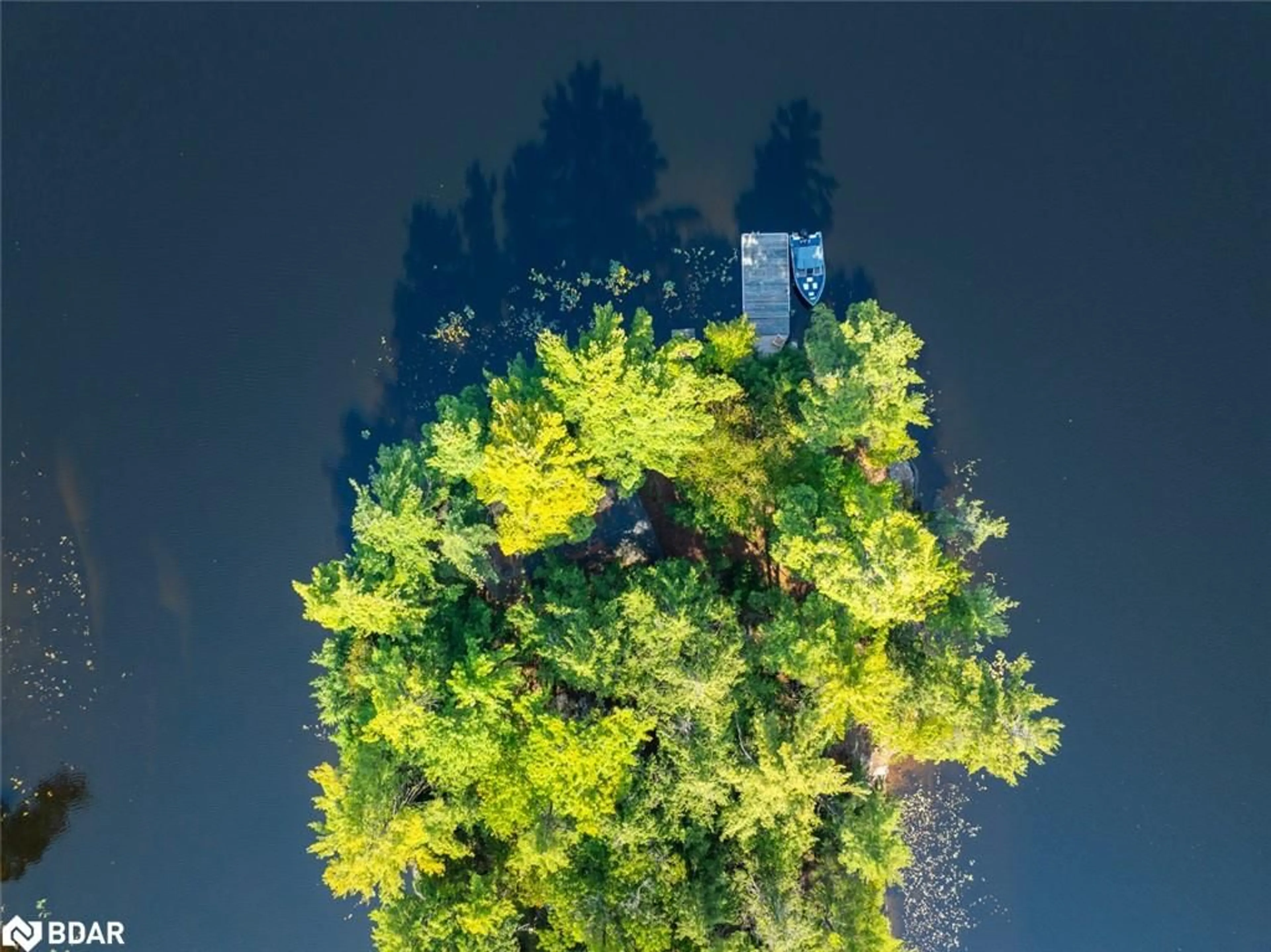 A pic from outside/outdoor area/front of a property/back of a property/a pic from drone, forest/trees view for 431 Healey Lake Water Dr, The Archipelago Ontario P0G 1G0