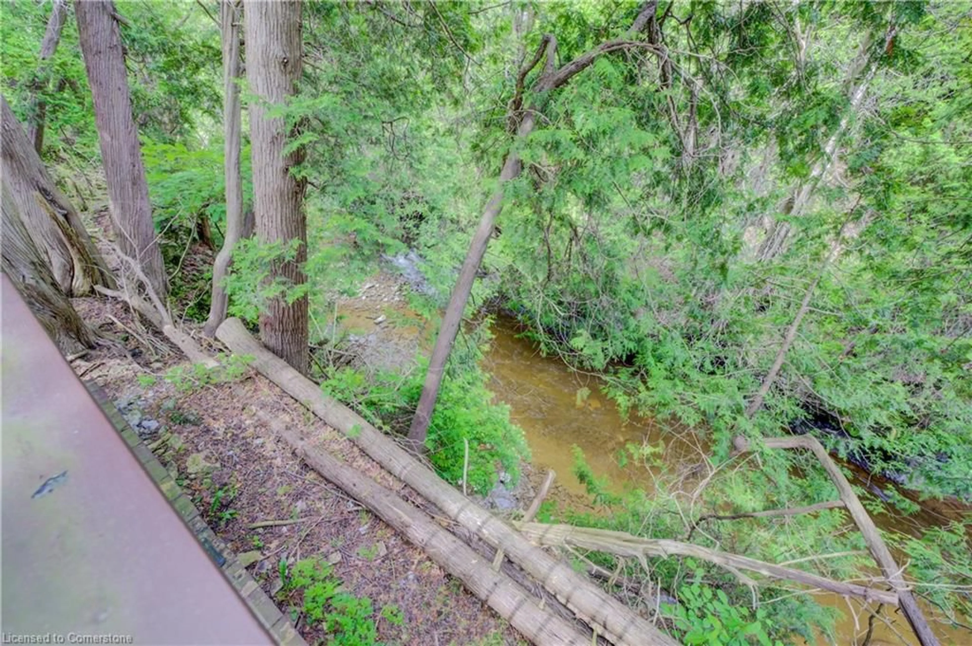 A pic from outside/outdoor area/front of a property/back of a property/a pic from drone, forest/trees view for 453 Mill St, Elora Ontario N0B 1S0