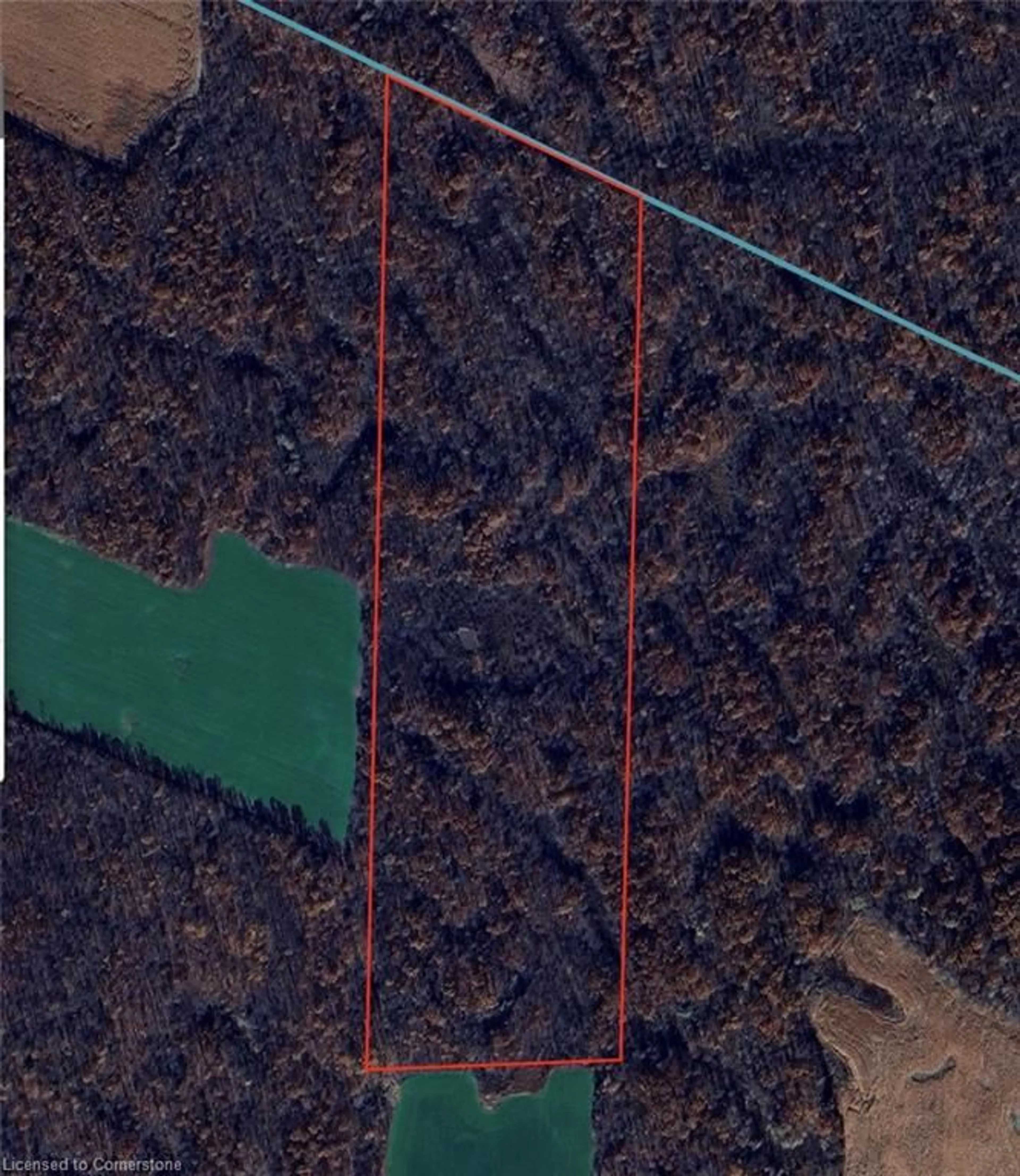 A pic from outside/outdoor area/front of a property/back of a property/a pic from drone, forest/trees view for PT LT 11 Concession 1 Rd, Canfield Ontario N1A 2W1