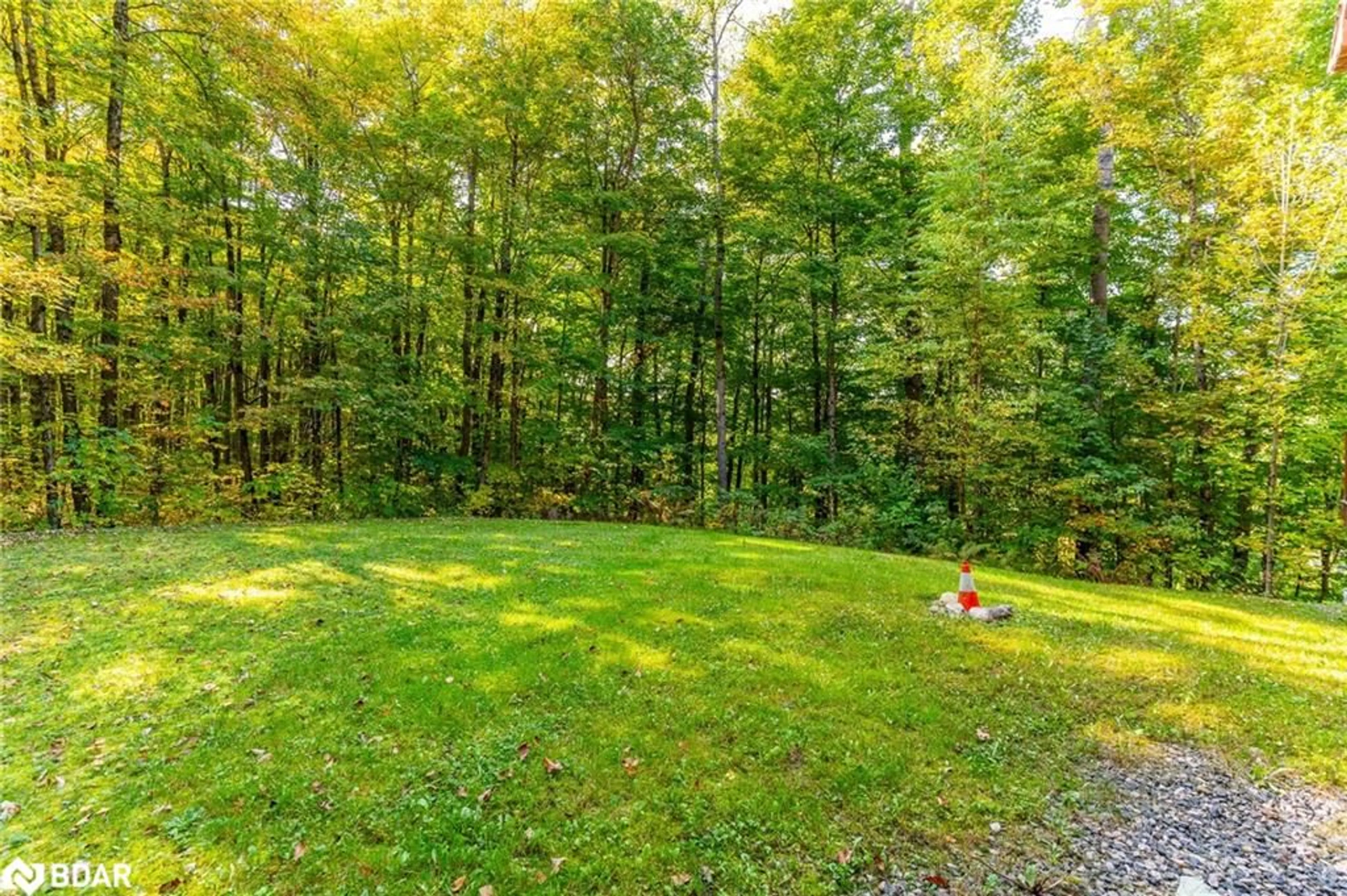 Patio, forest/trees view for 1091 Eashores Rd, Haliburton Ontario K0M 1M0