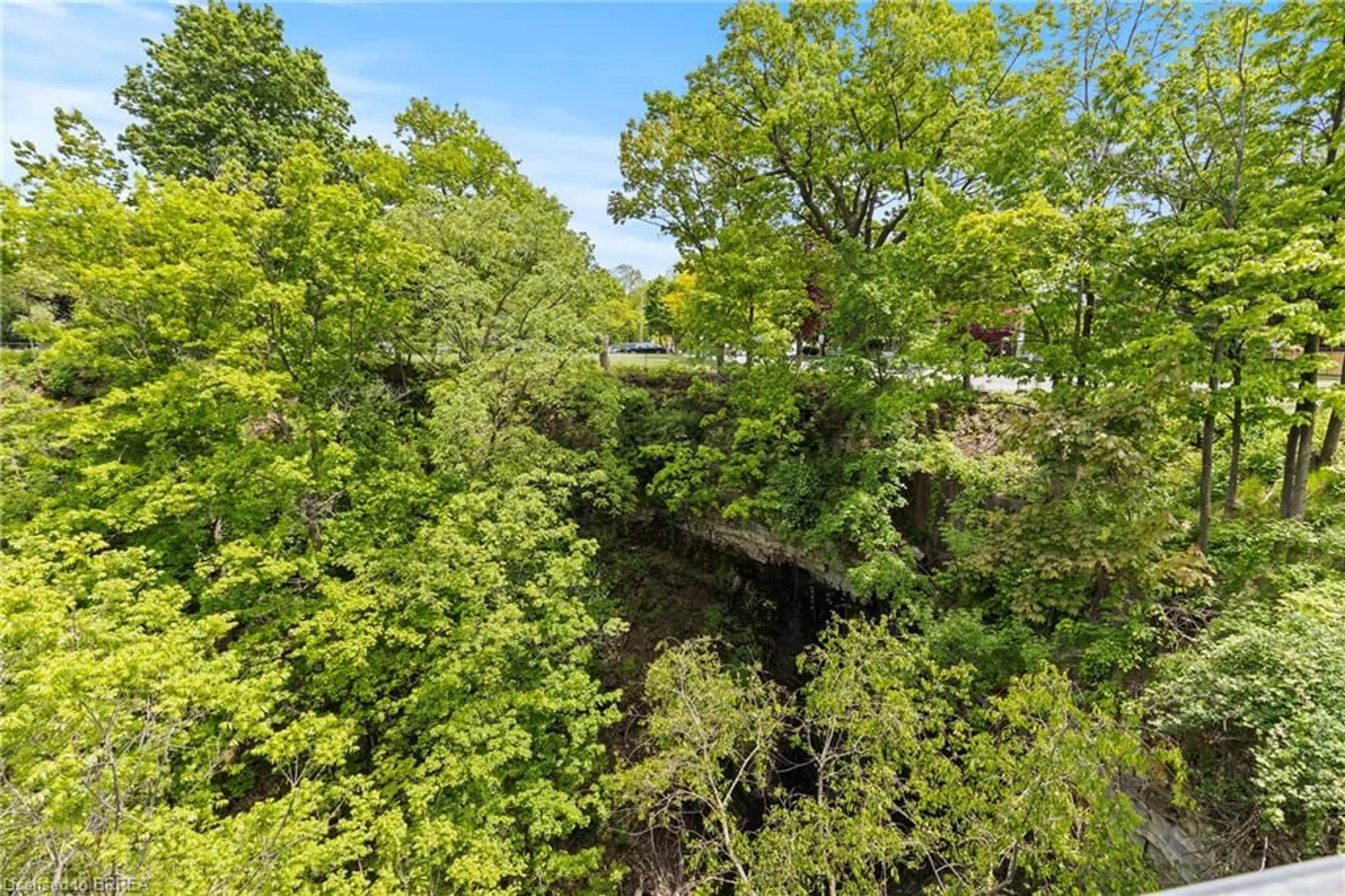A pic from outside/outdoor area/front of a property/back of a property/a pic from drone, forest/trees view for 537 Scenic Dr, Hamilton Ontario L9C 1G9