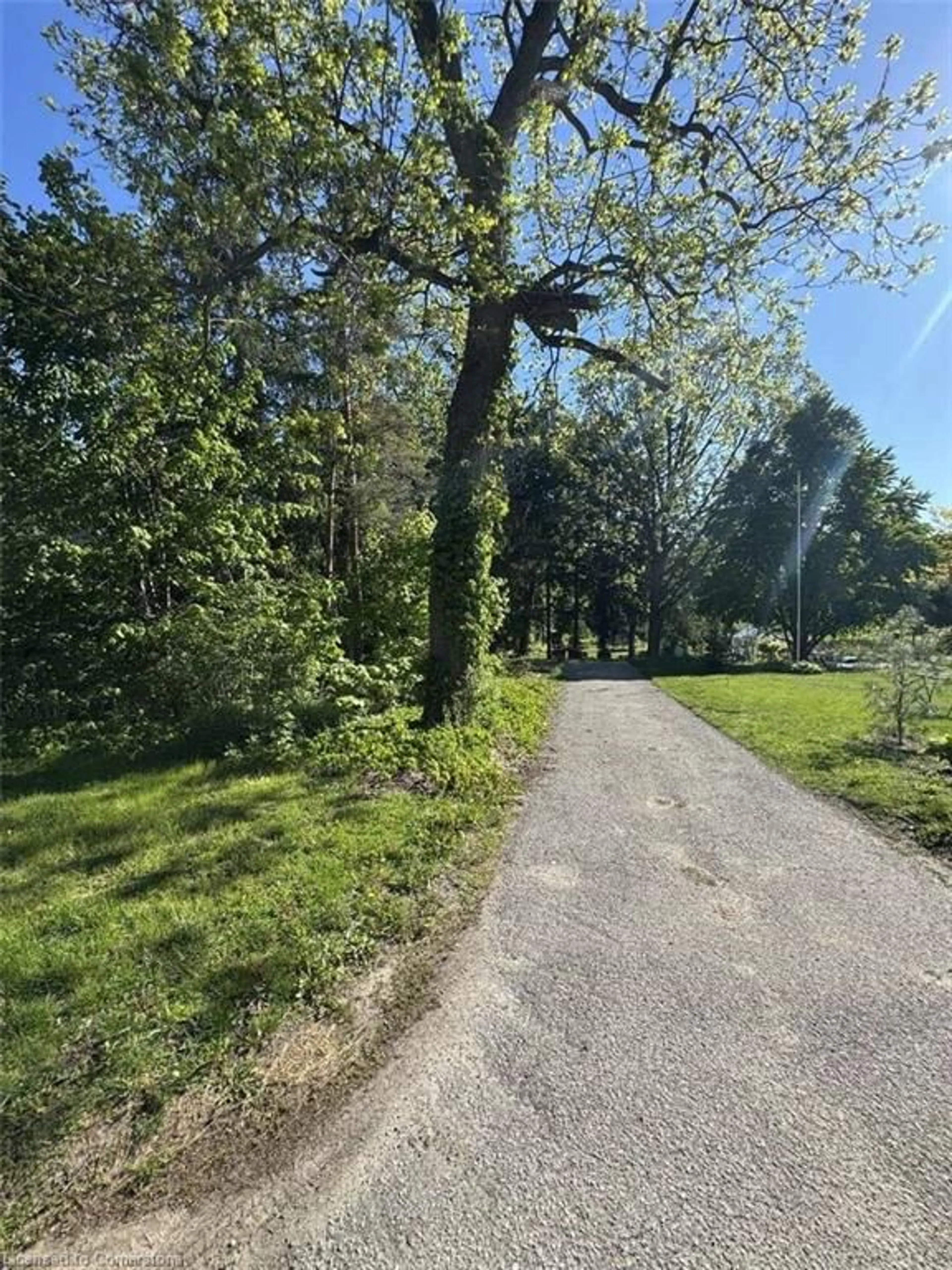 A pic from outside/outdoor area/front of a property/back of a property/a pic from drone, forest/trees view for 34 Mcdougall Rd, Waterloo Ontario N2L 2W5