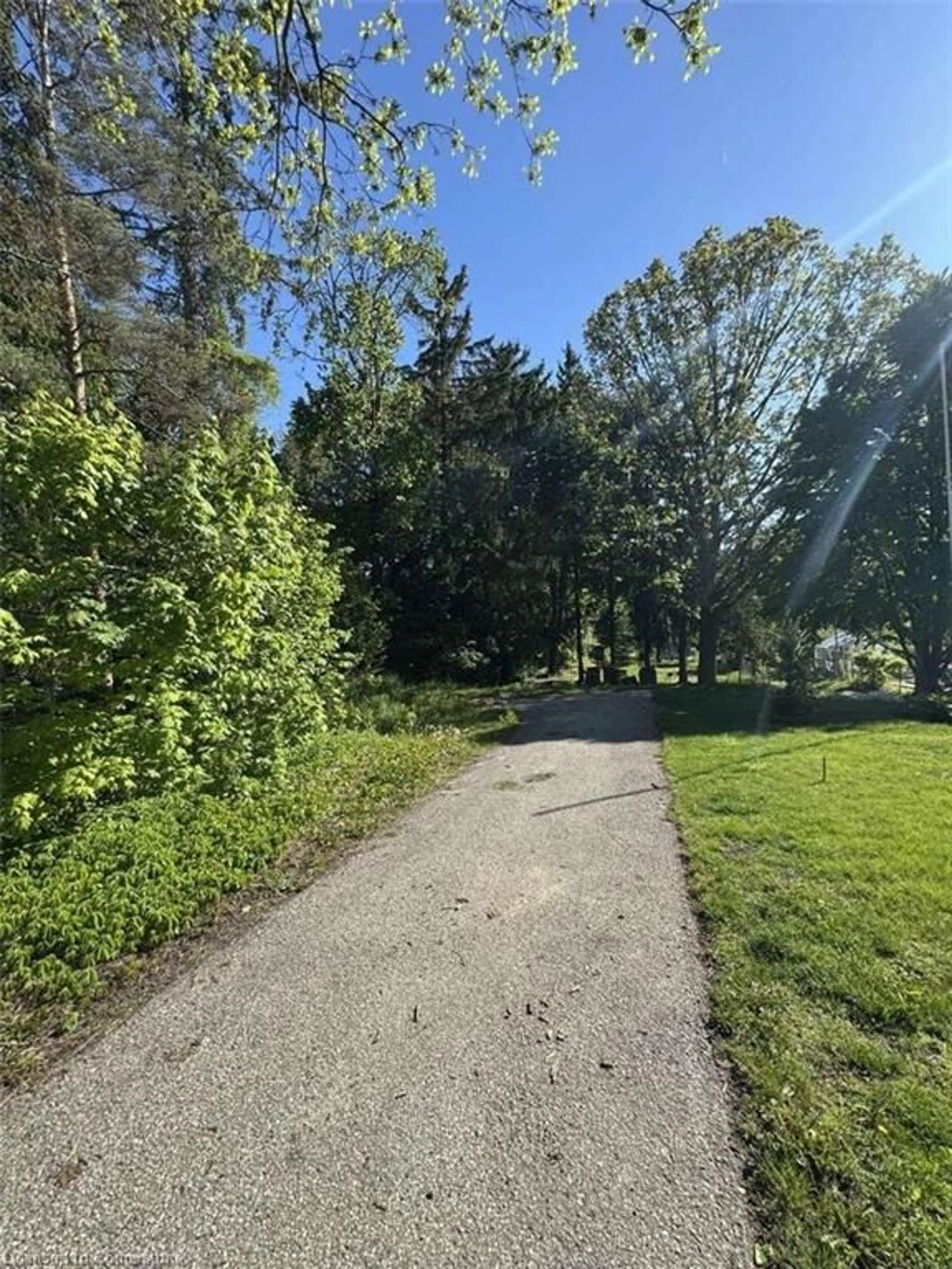 A pic from outside/outdoor area/front of a property/back of a property/a pic from drone, forest/trees view for 34 Mcdougall Rd, Waterloo Ontario N2L 2W5