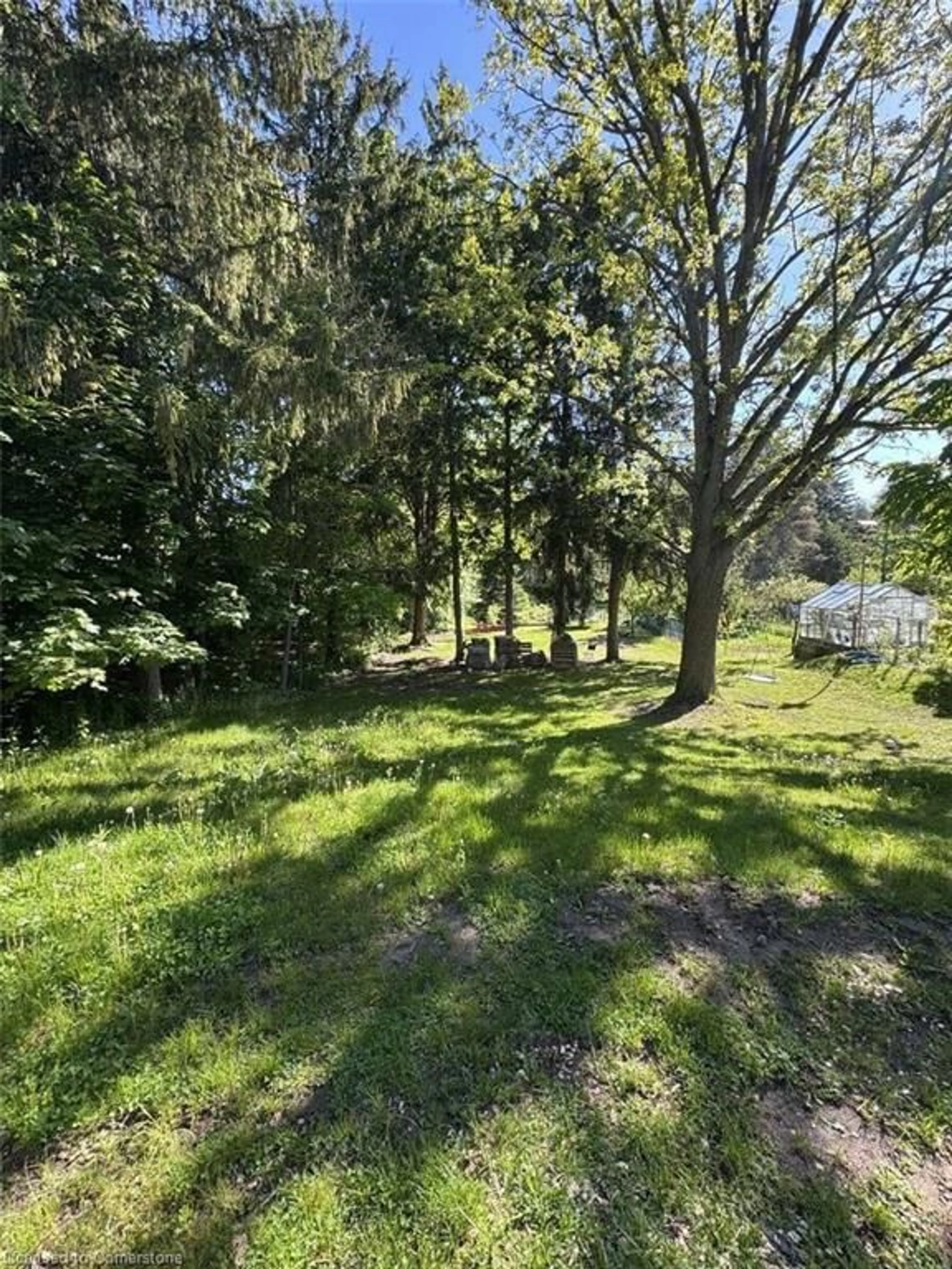 A pic from outside/outdoor area/front of a property/back of a property/a pic from drone, forest/trees view for 34 Mcdougall Rd, Waterloo Ontario N2L 2W5
