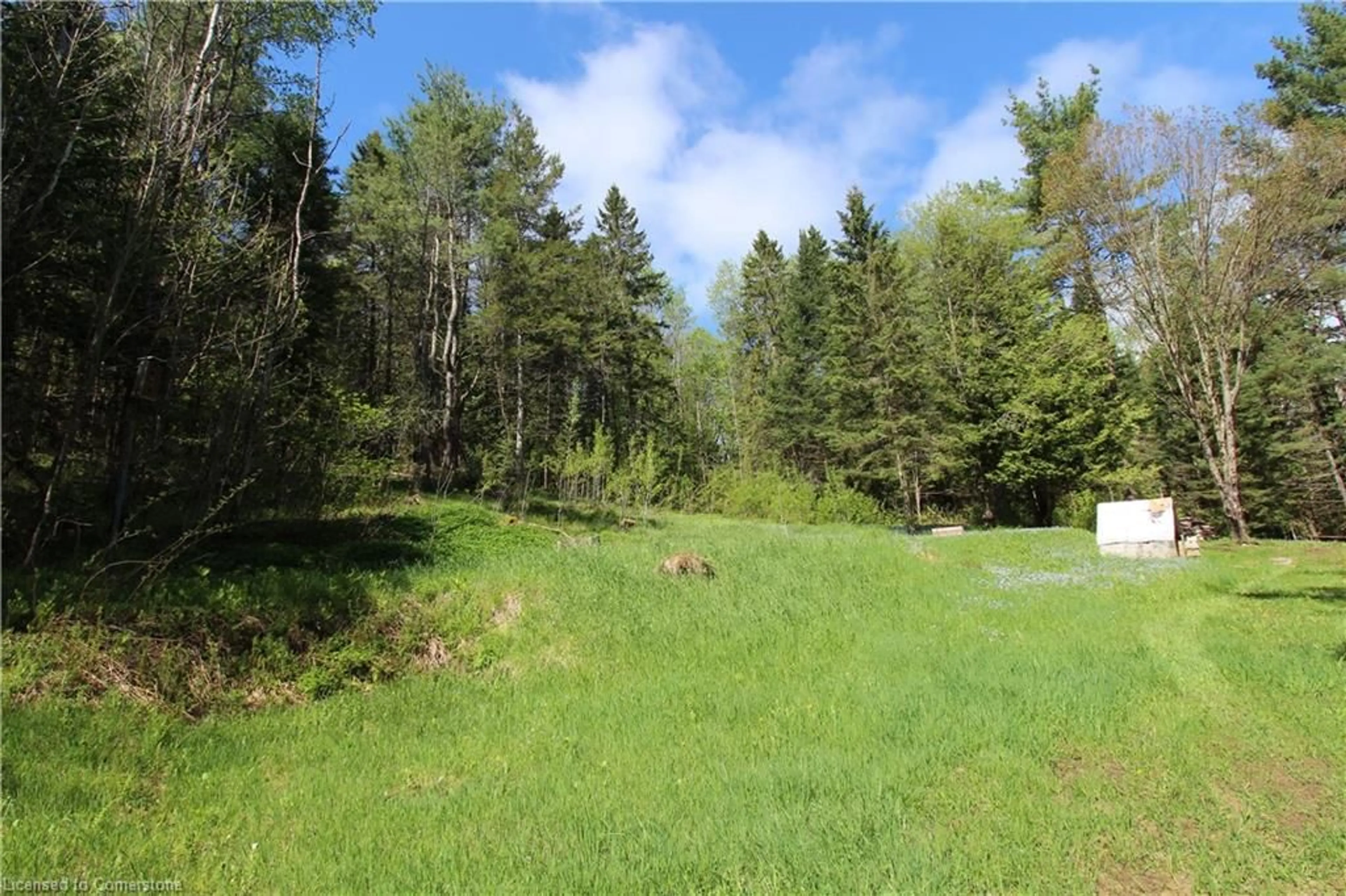 A pic from outside/outdoor area/front of a property/back of a property/a pic from drone, forest/trees view for 1059 Tortoise Dr, Wilberforce Ontario K0L 3C0