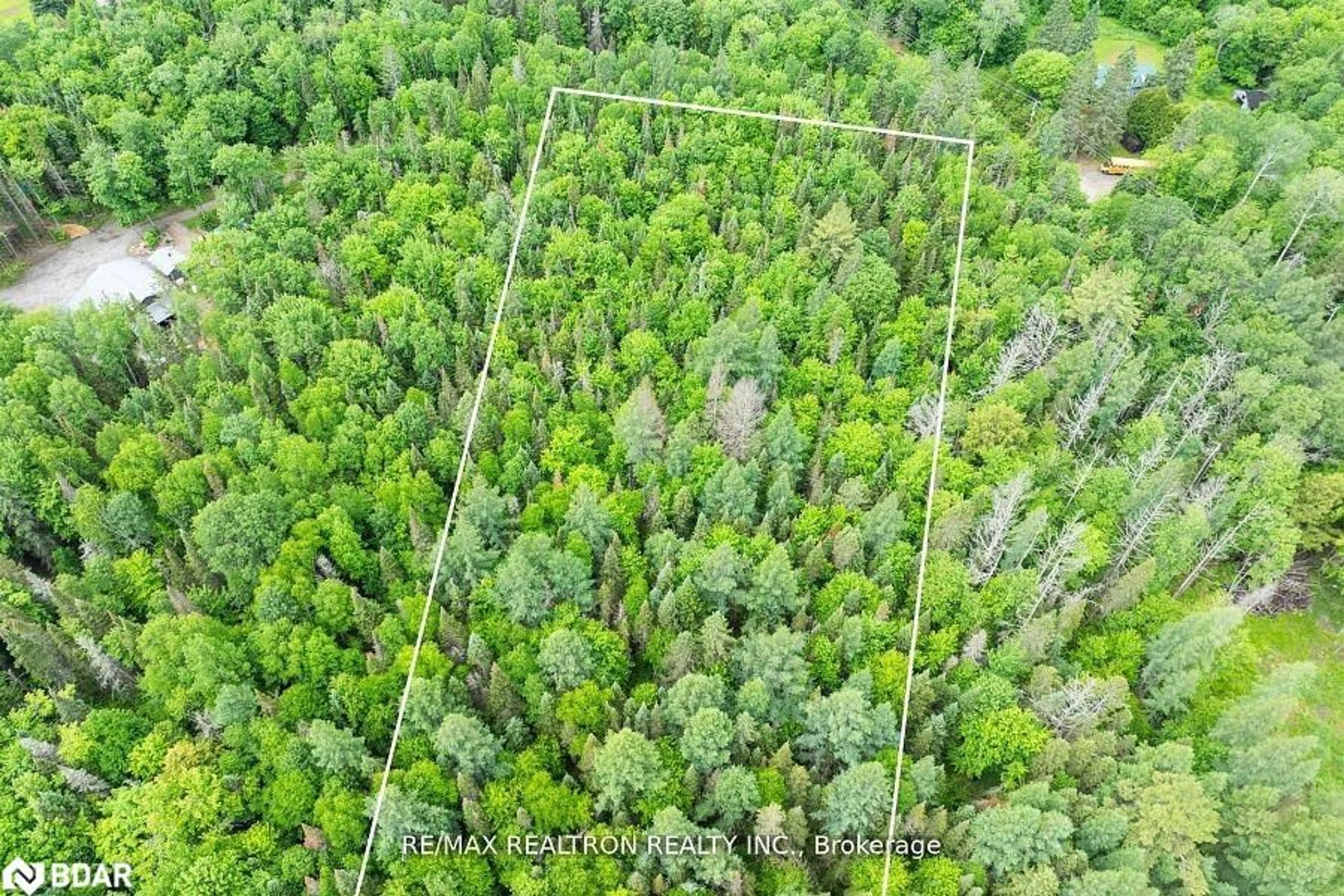 A pic from outside/outdoor area/front of a property/back of a property/a pic from drone, forest/trees view for 2661 Highway 518, Kearney Ontario P0A 1M0