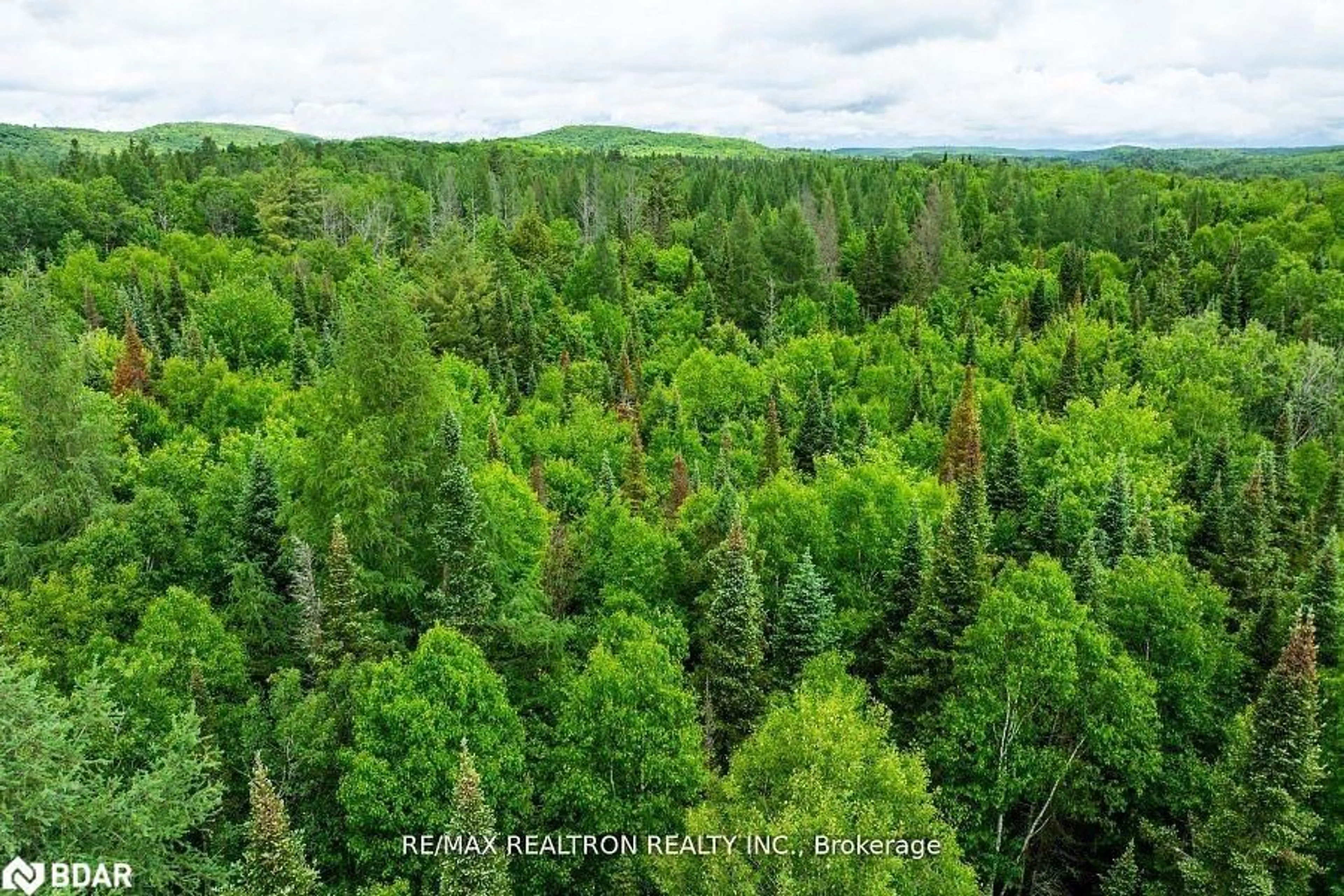 A pic from outside/outdoor area/front of a property/back of a property/a pic from drone, forest/trees view for 2661 Highway 518, Kearney Ontario P0A 1M0