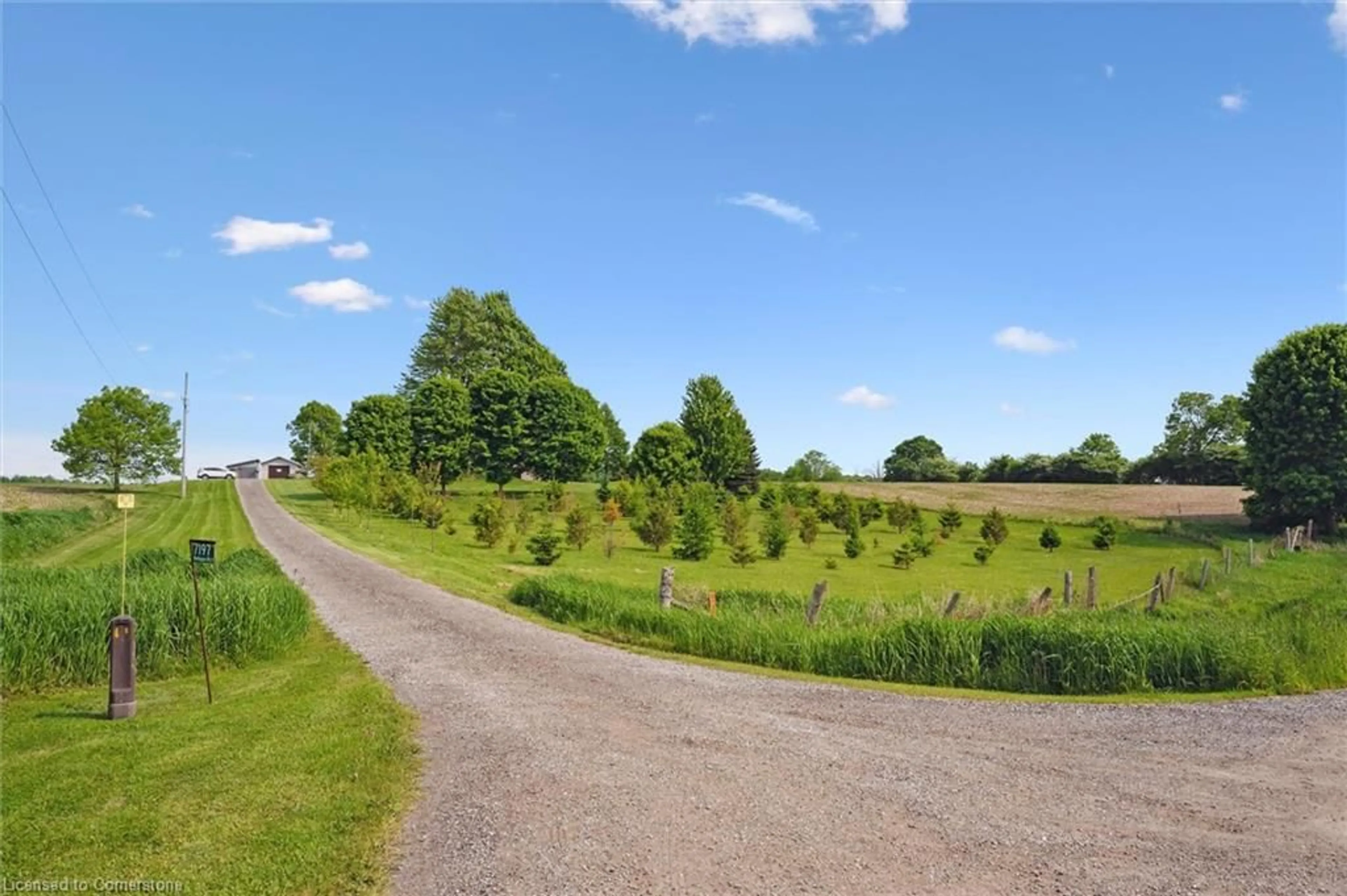 A pic from outside/outdoor area/front of a property/back of a property/a pic from drone, forest/trees view for 7197 Wellington Rd 21, Wellington Ontario N0B 1B0