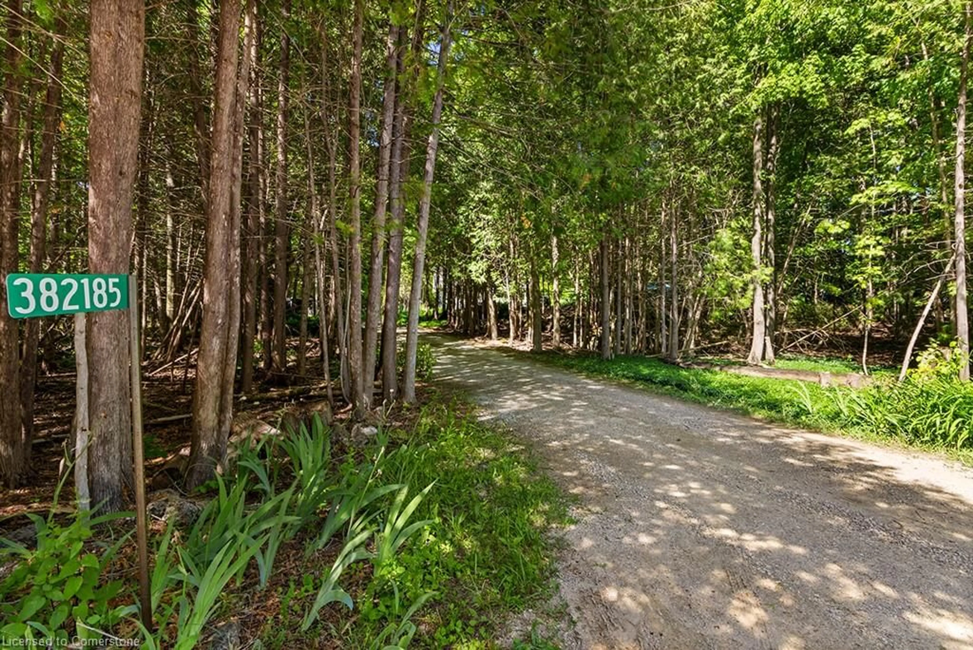Patio, forest/trees view for 382185 17 Conc, Georgian Bluffs Ontario N0H 2T0