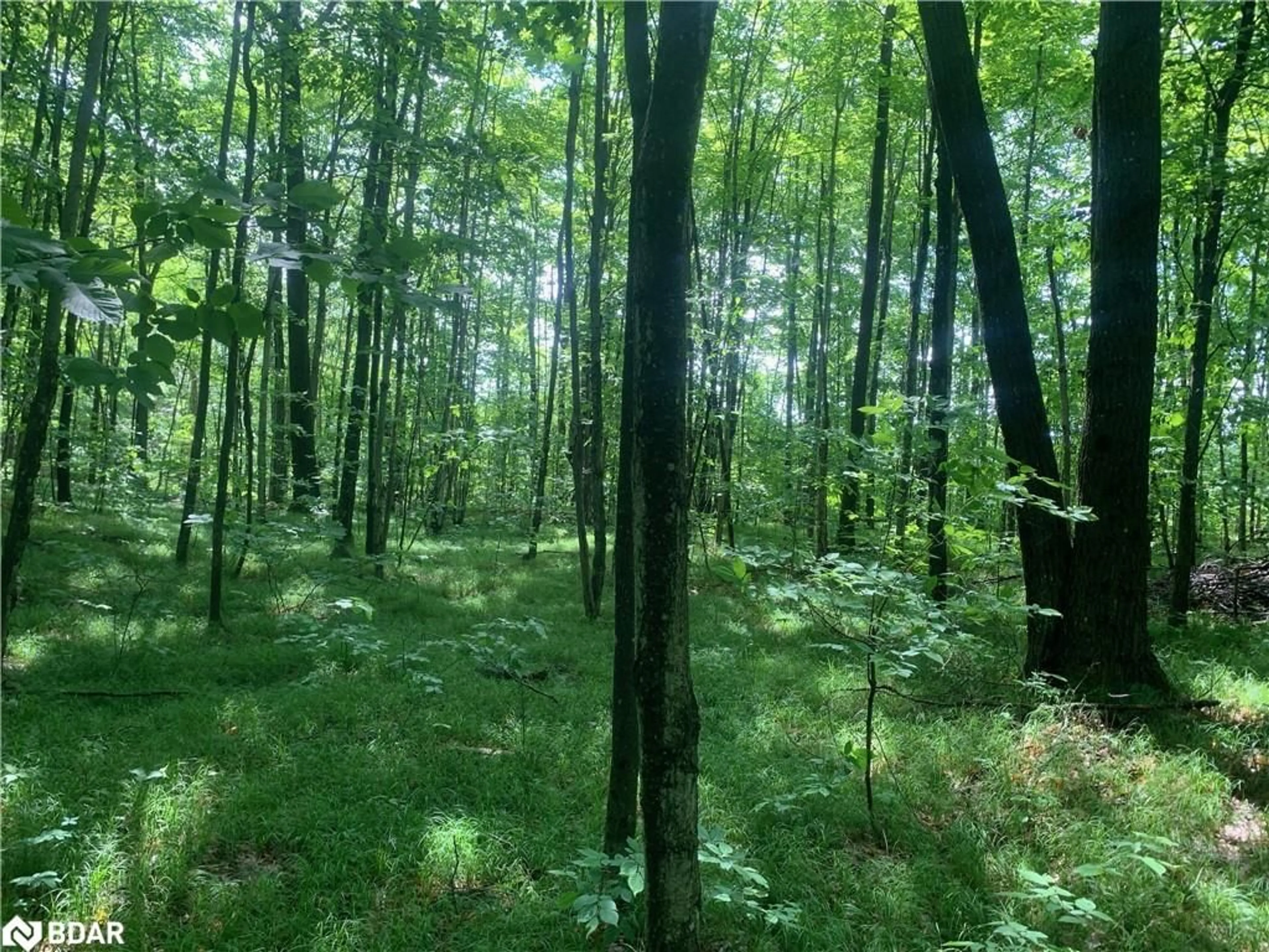 Blurry image for 00 Clareview Rd, Erinsville Ontario K0K 2A0