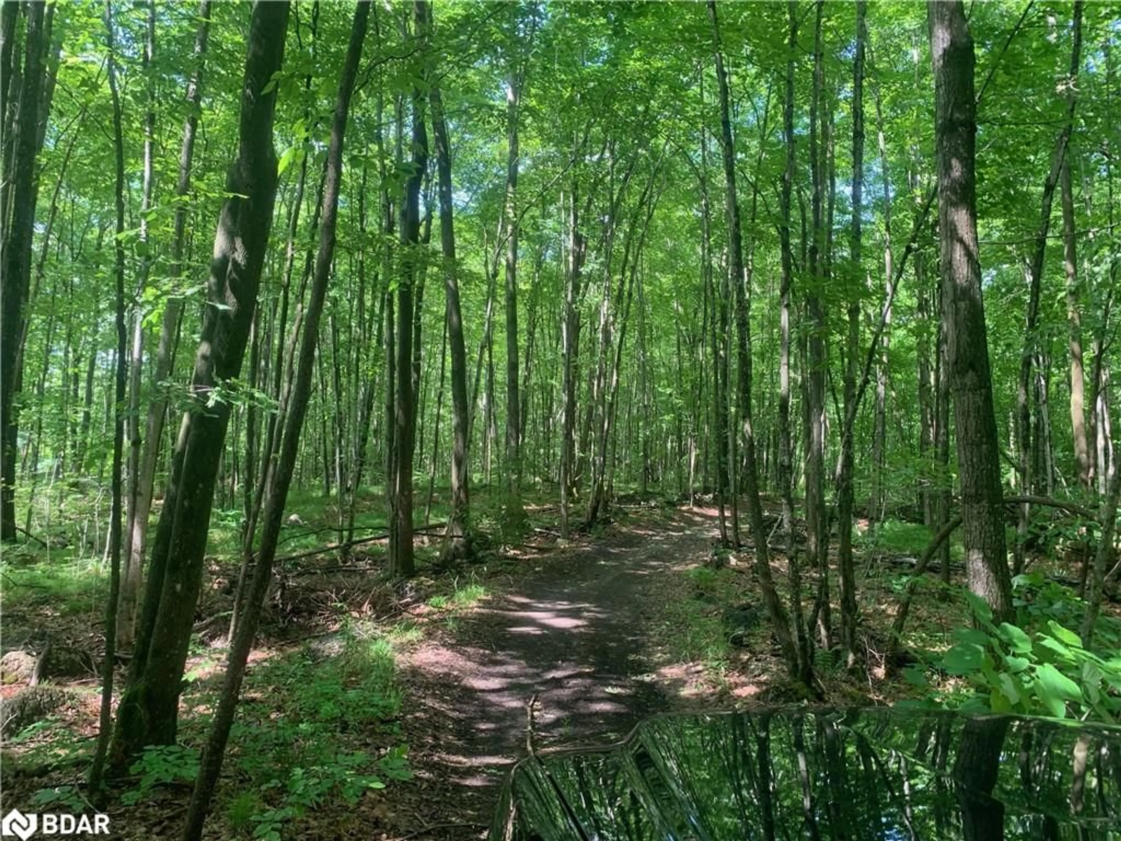 Blurry image for 00 Clareview Rd, Erinsville Ontario K0K 2A0