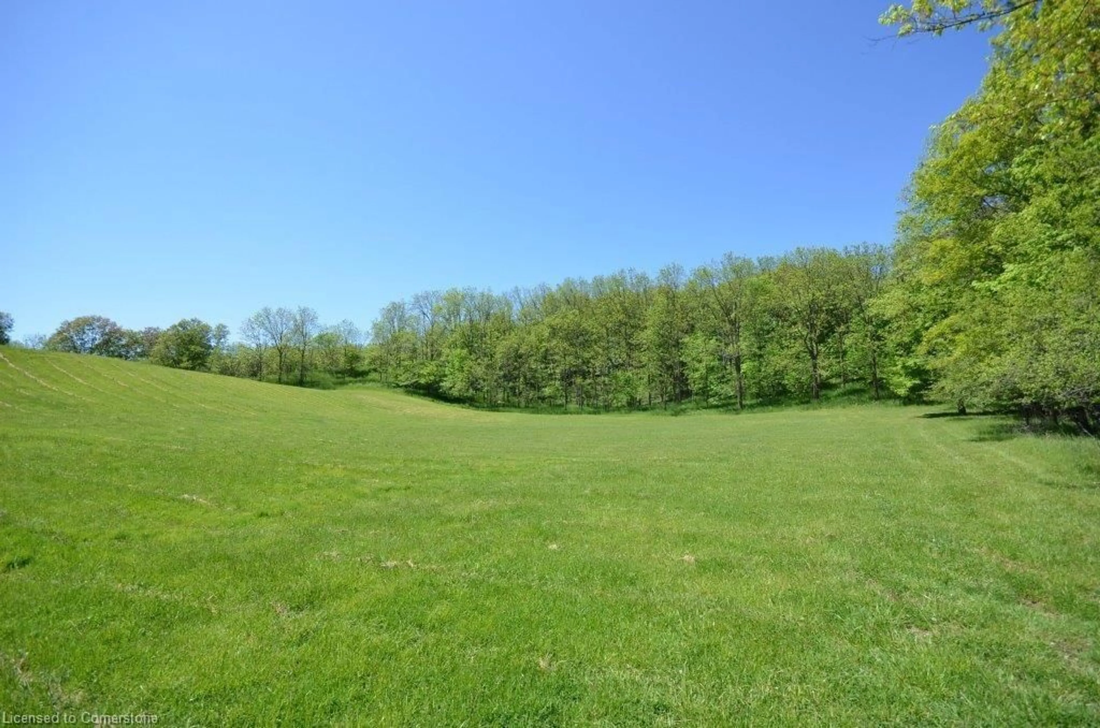 A pic from outside/outdoor area/front of a property/back of a property/a pic from drone, forest/trees view for 878 Sulphur Springs Rd, Ancaster Ontario L9H 5E3