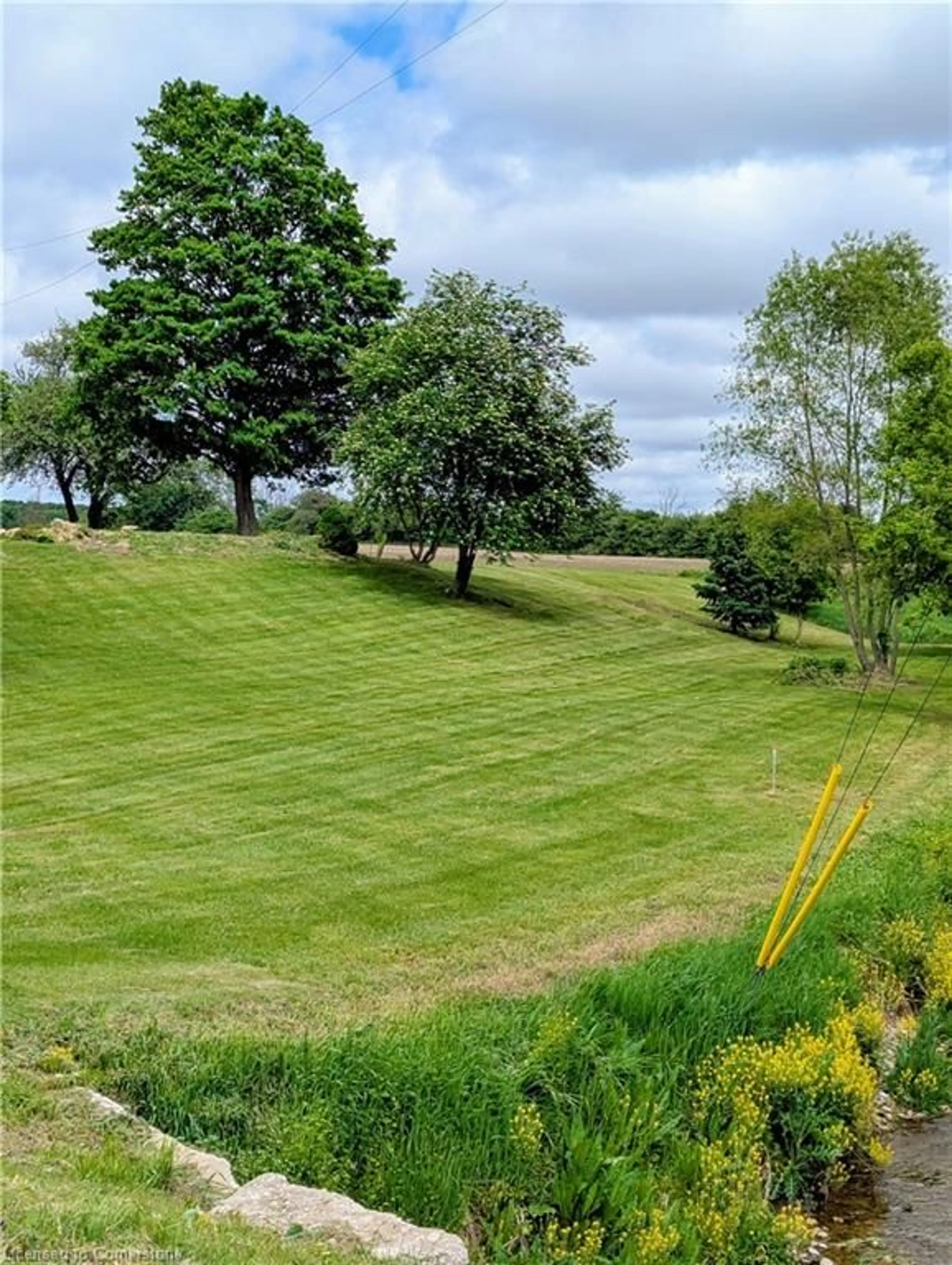A pic from outside/outdoor area/front of a property/back of a property/a pic from drone, forest/trees view for 6664 A Line 87 Line, Listowel Ontario N4W 3G6