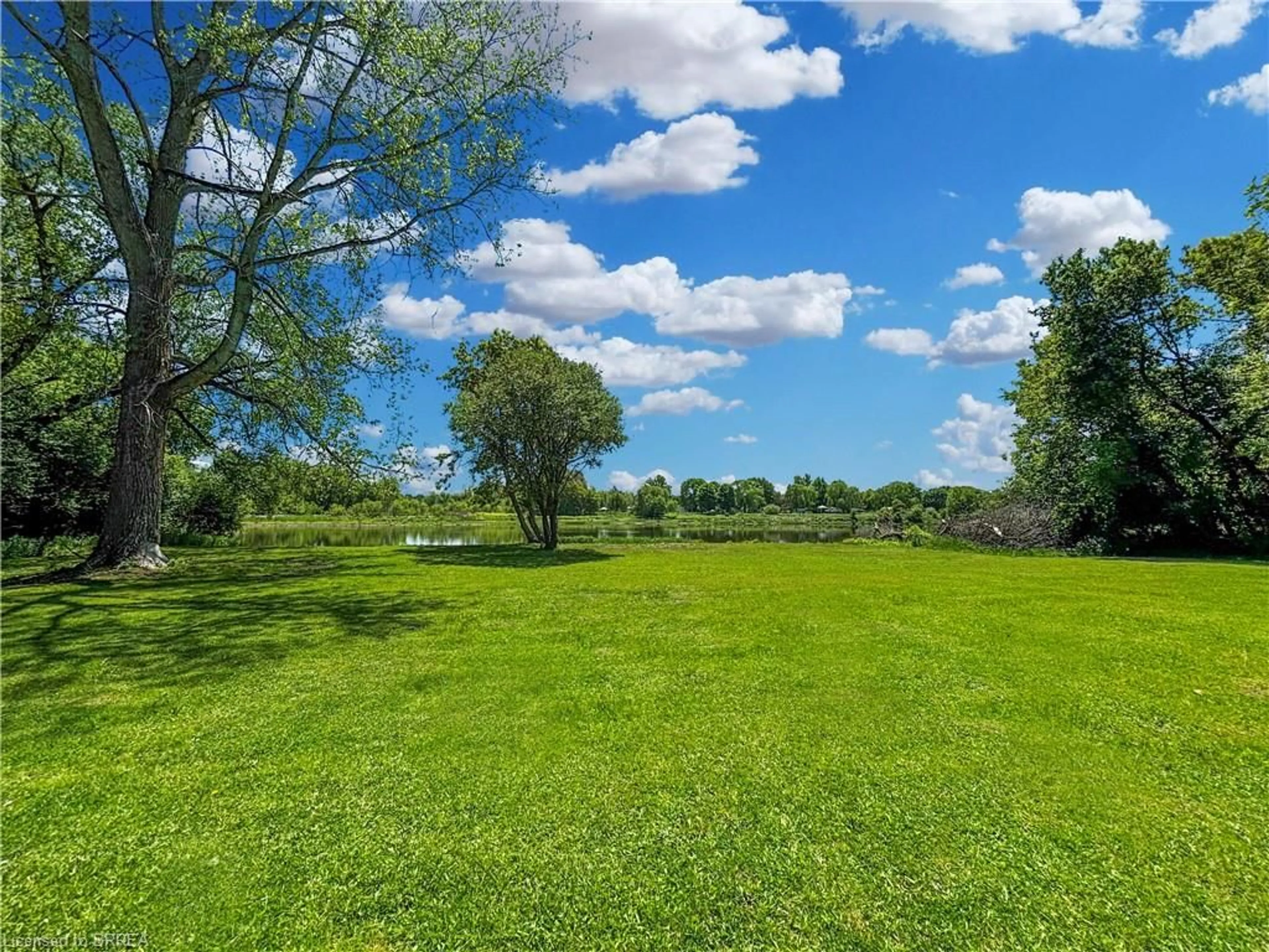 A pic from outside/outdoor area/front of a property/back of a property/a pic from drone, forest/trees view for 245 Hardy Rd, Brantford Ontario N3T 5L8